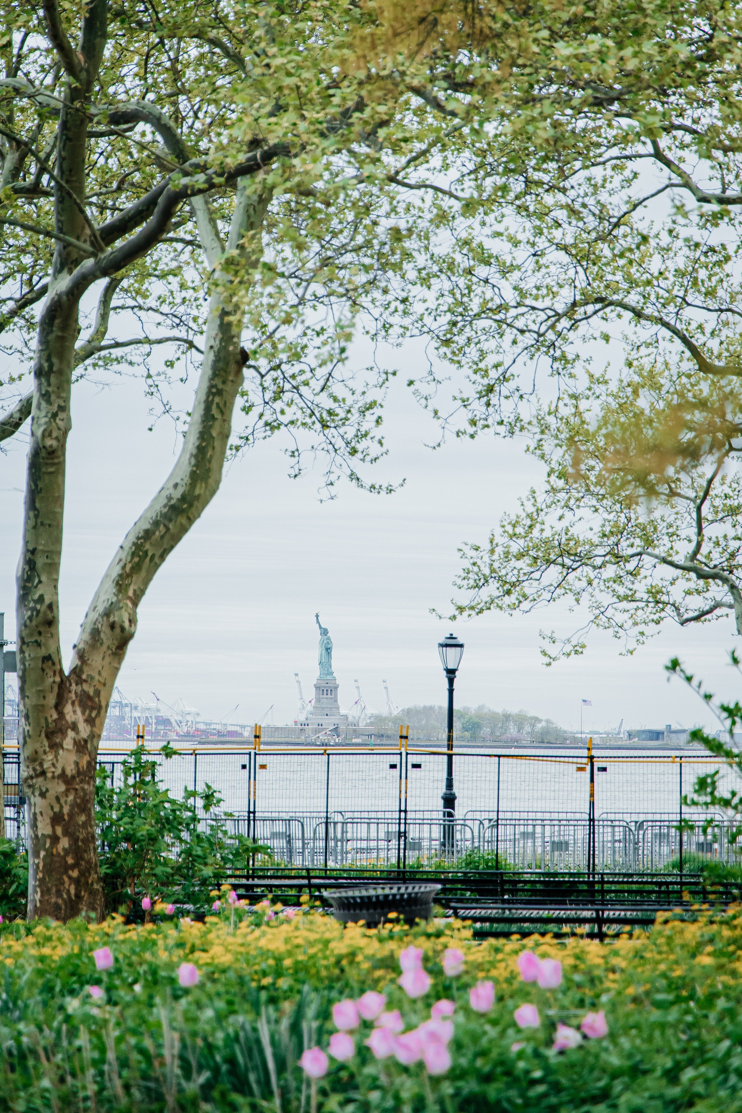 Katelyn & Henry. Wedding Photo & Video