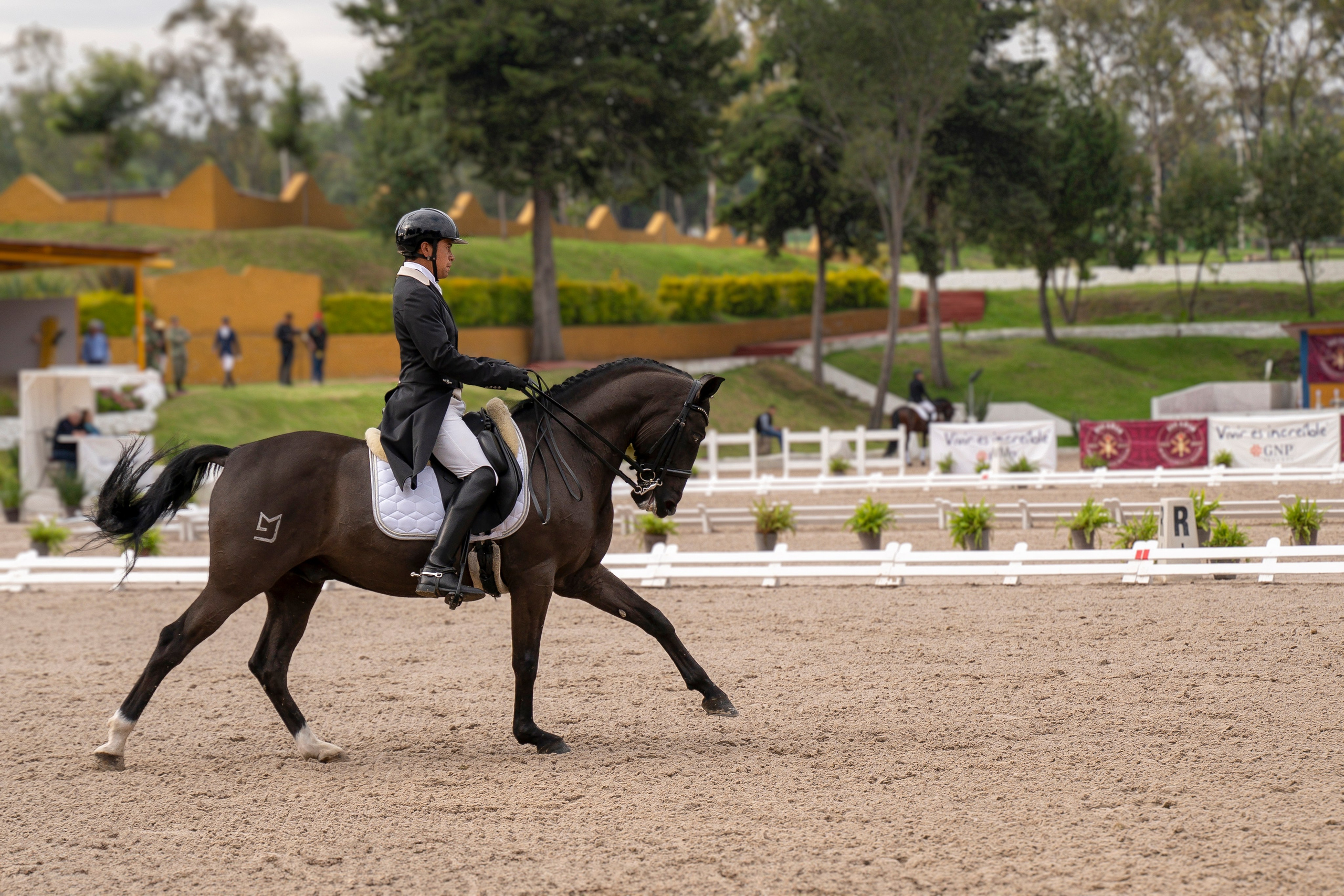 Sport events. Catrina Frolova photography