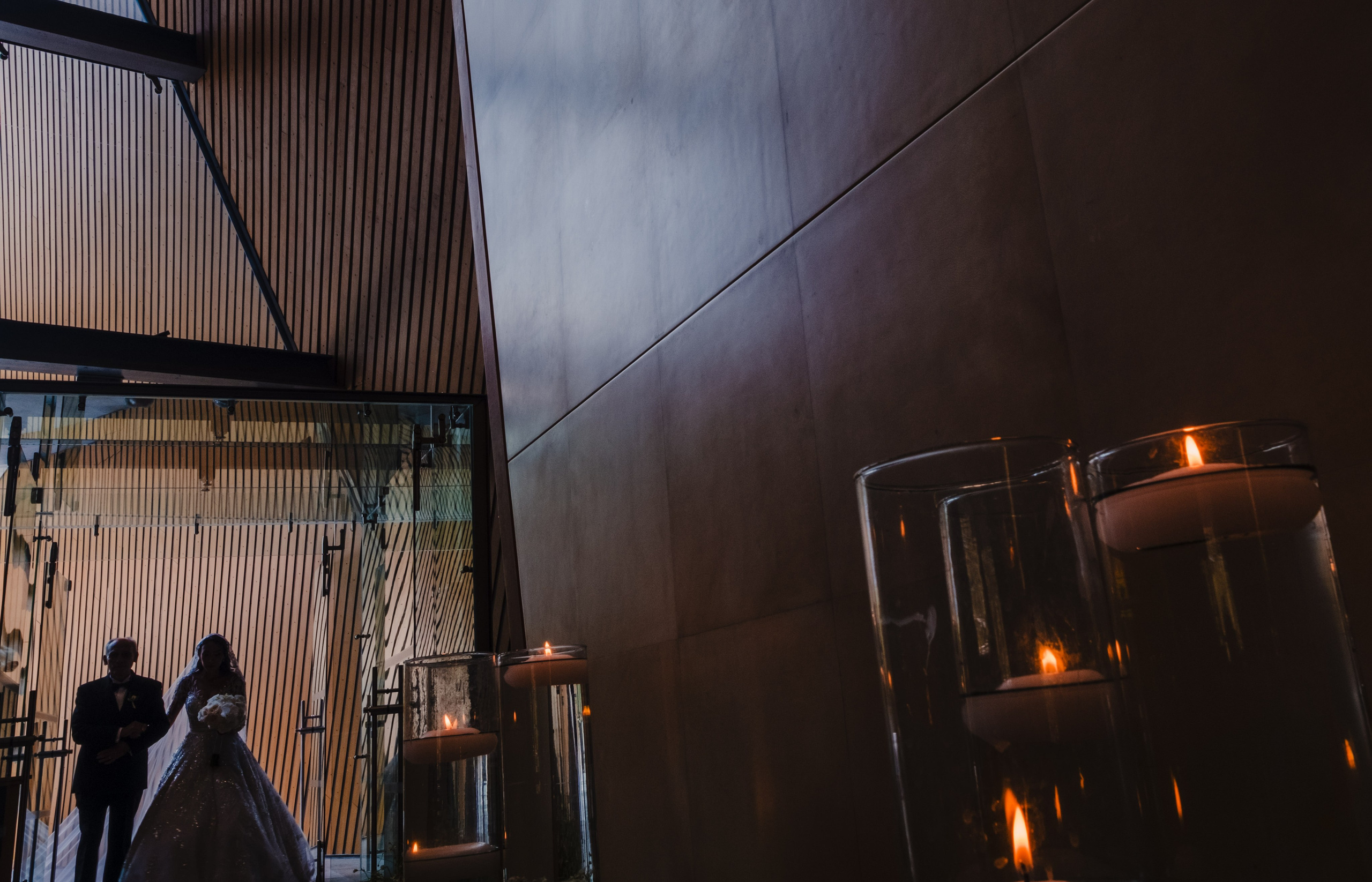 Dana & Fer / Cdmx. Wedding and family photographer in Mexico City