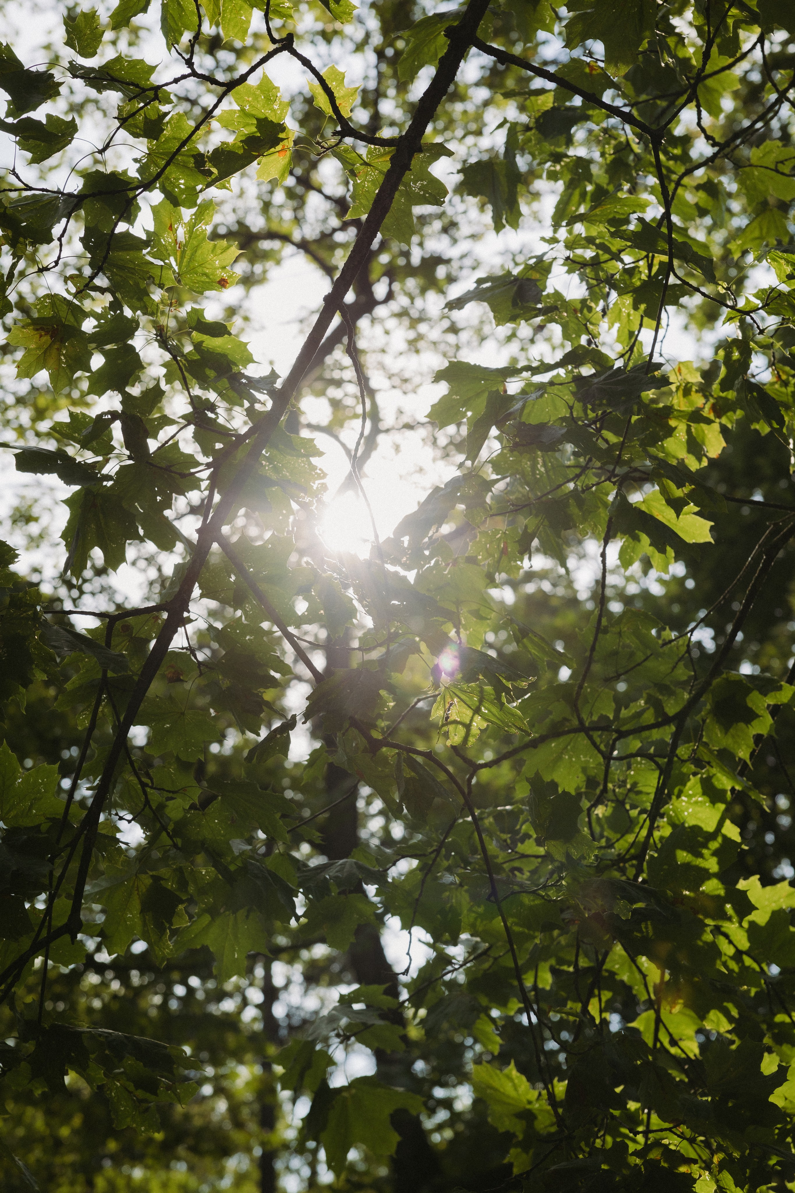 Miglė ir Mindaugas | 2024 | MIESTO VESTUVĖS. Vestuvių ir šeimų fotografė Lena Bondarenko / belove photo