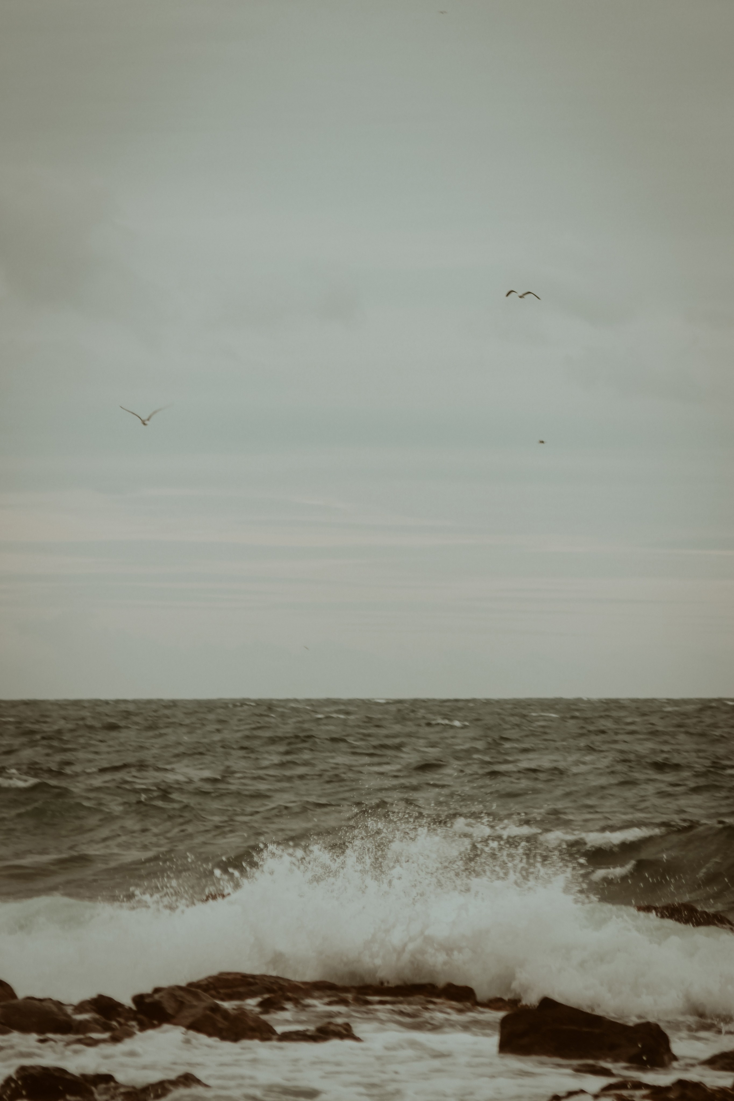 People. Photographe à la Seyne sur Mer, Var