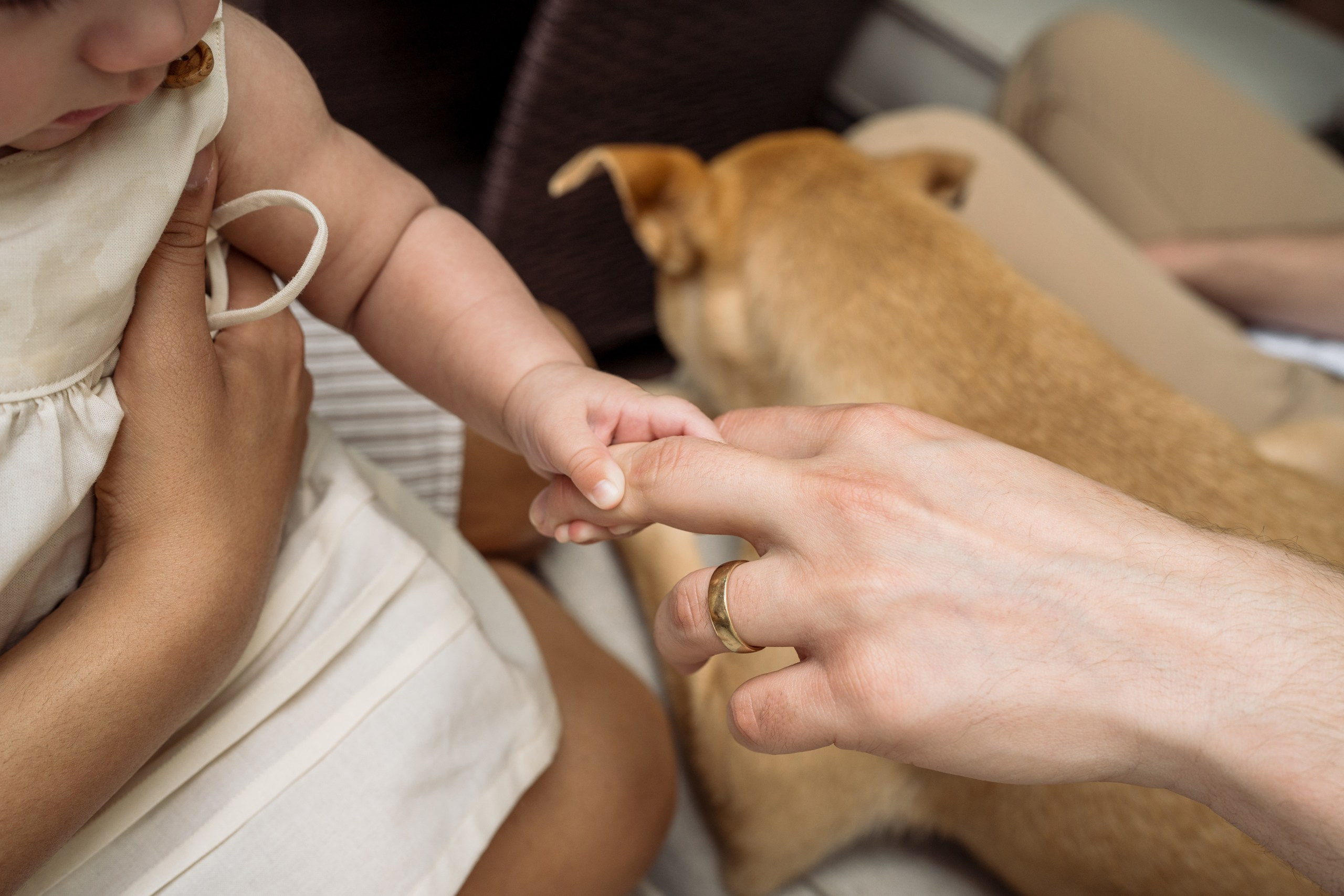 Farah, Sam, Serena, Mellie. Alisa Tant — Family and newborn photographer Bucks County, Montgomery county, Philadelphia, NJ