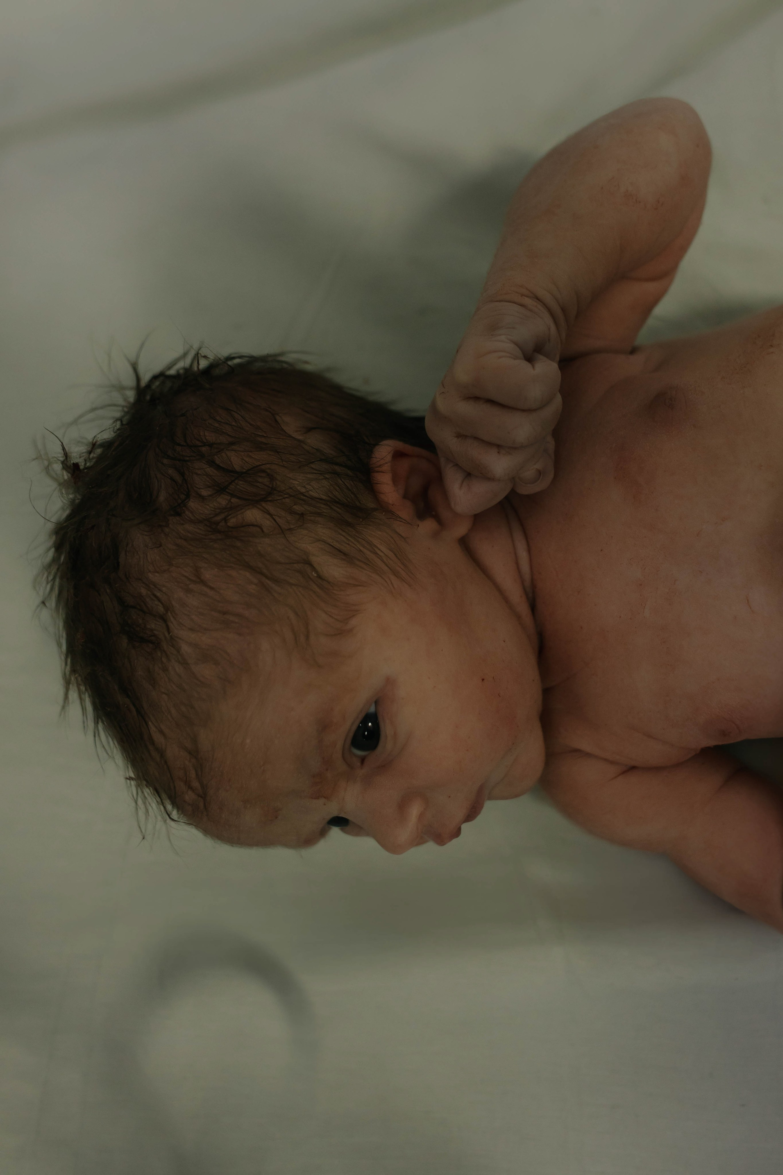 A Chegada de Maria Lis. Amanda Paraizo | Fotógrafa de Parto, Gestante e Família na Grande Vitória — ES