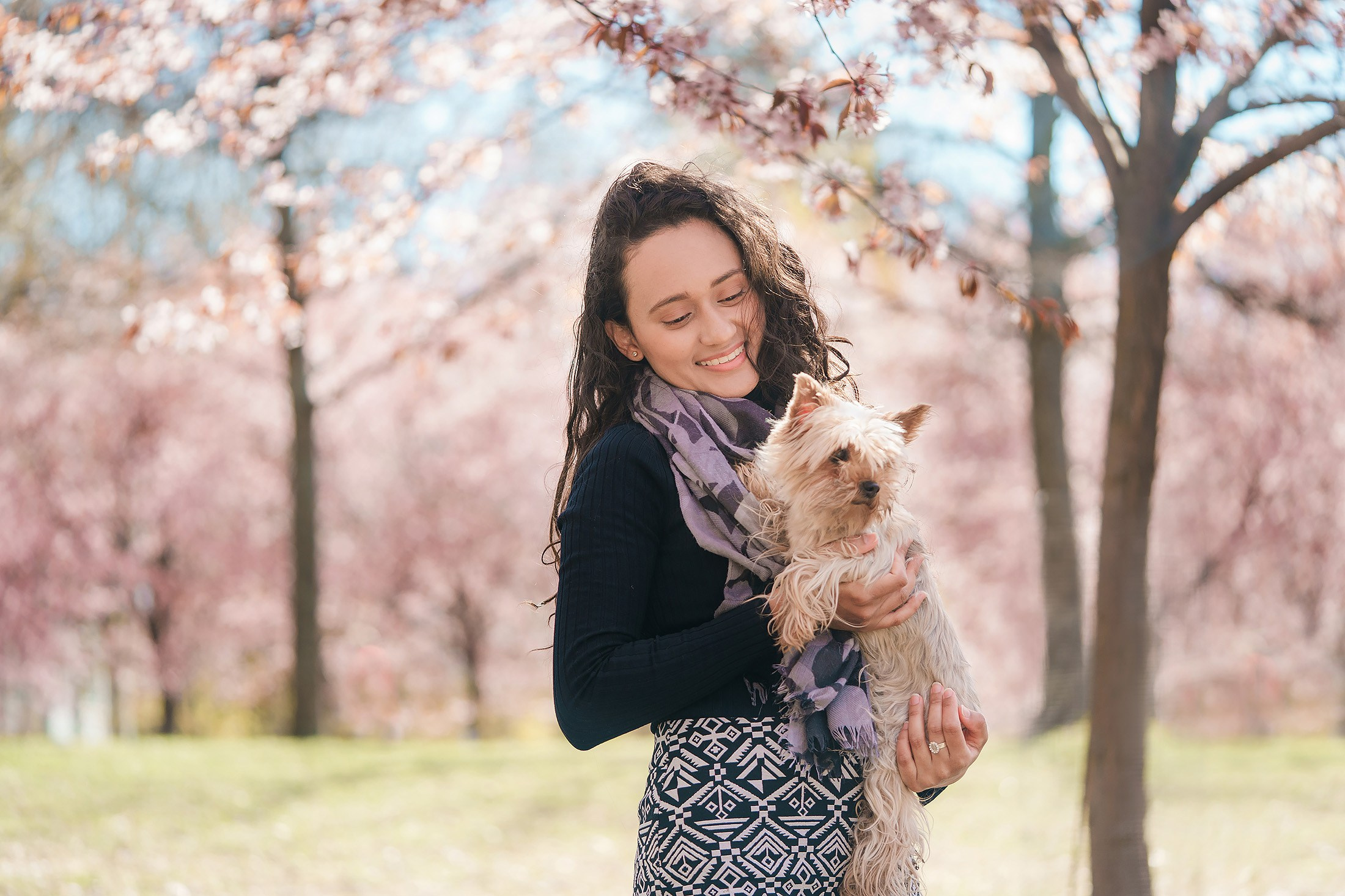 Kevään 2026 minikuvaukset (kirsikka- ja rodopuitossa, sekä omenatarhassa)