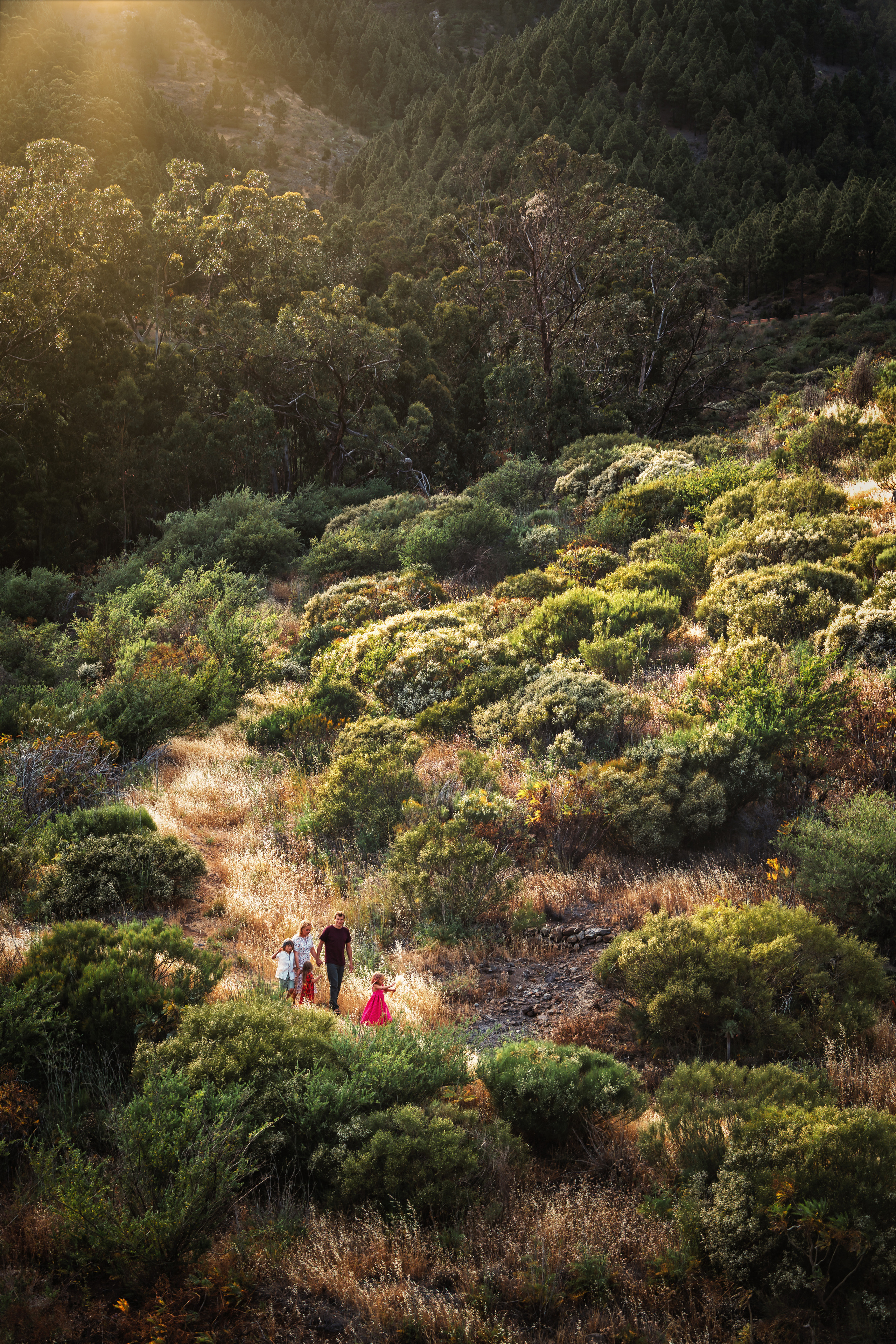 Families. Professional photography in Tenerife Tania Bonnet
