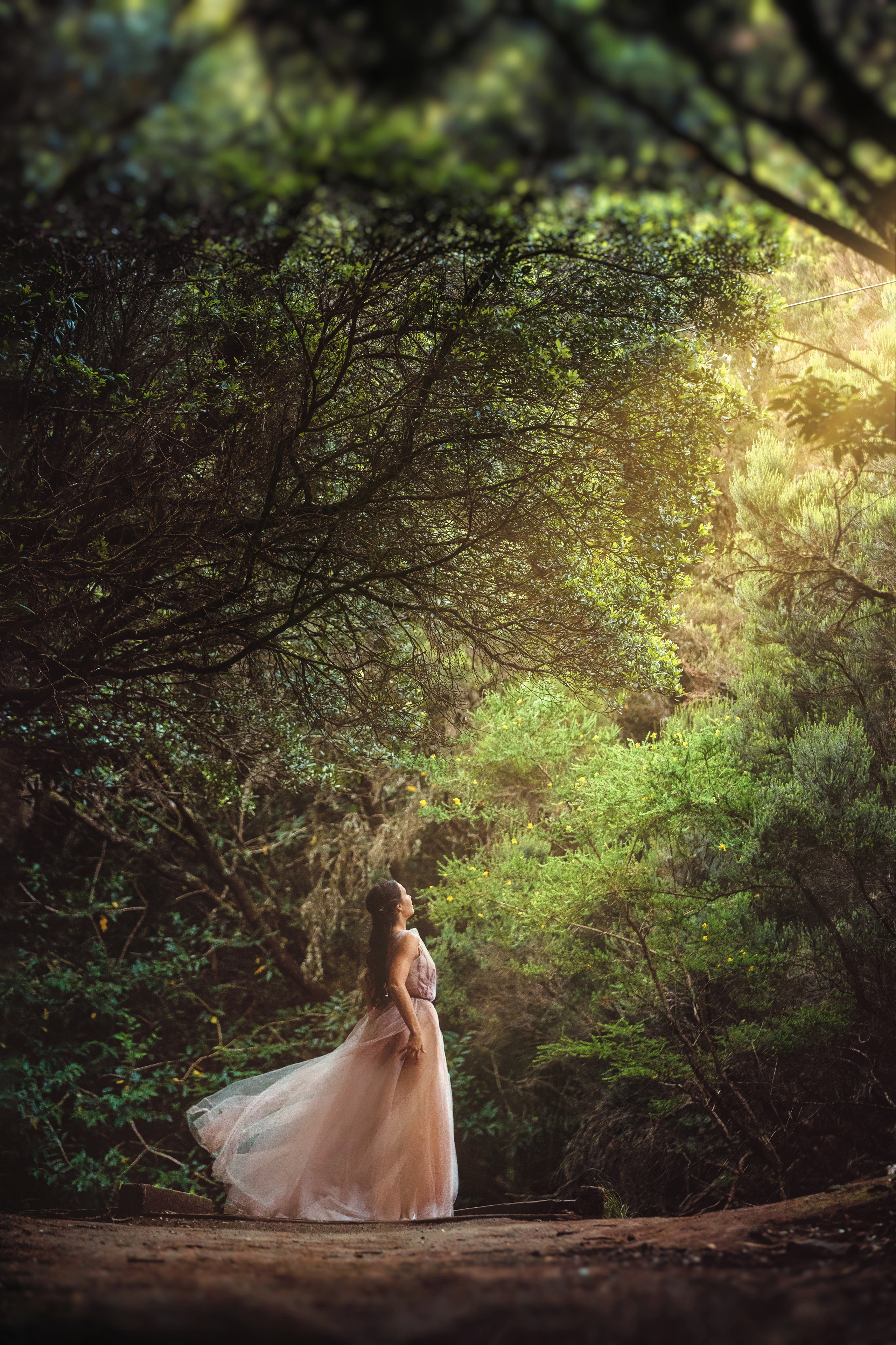 Топ локаций для фотосессии на Тенерифе. Таня Боннет | Профессиональный фотограф на Тенерифе — Летящие платья