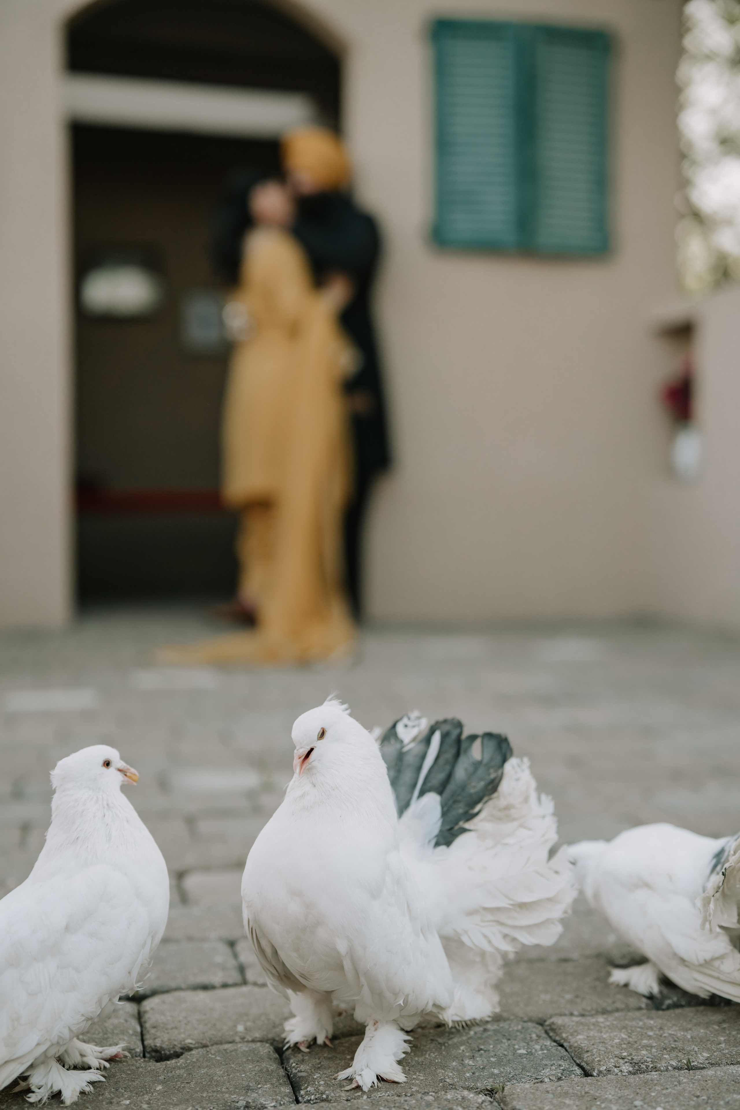 Gagan & Jasmeen. Wedding Photographer & Cinematographer studios