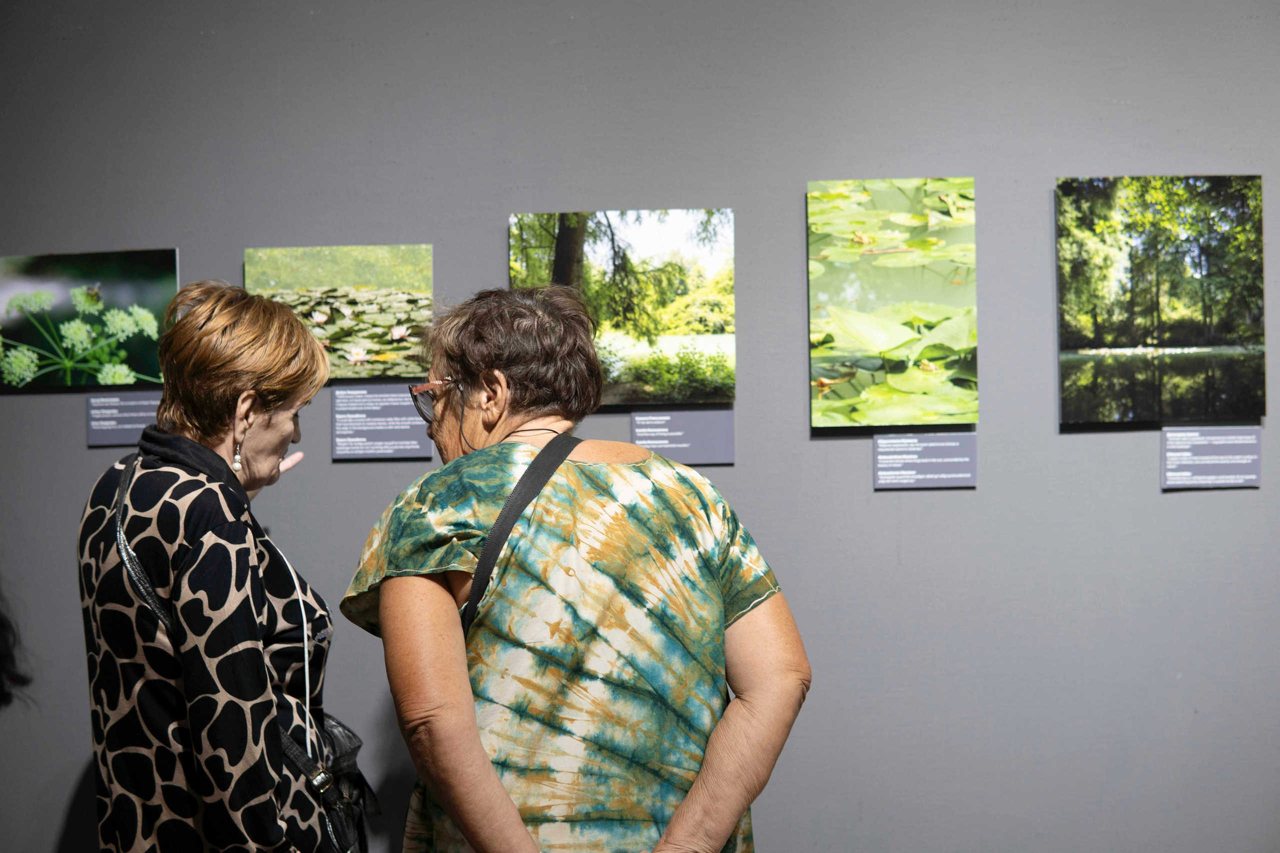 Wildlife Photography Programme (British Council x MOC). Melikov Amir, Uzbekistan based photographer
