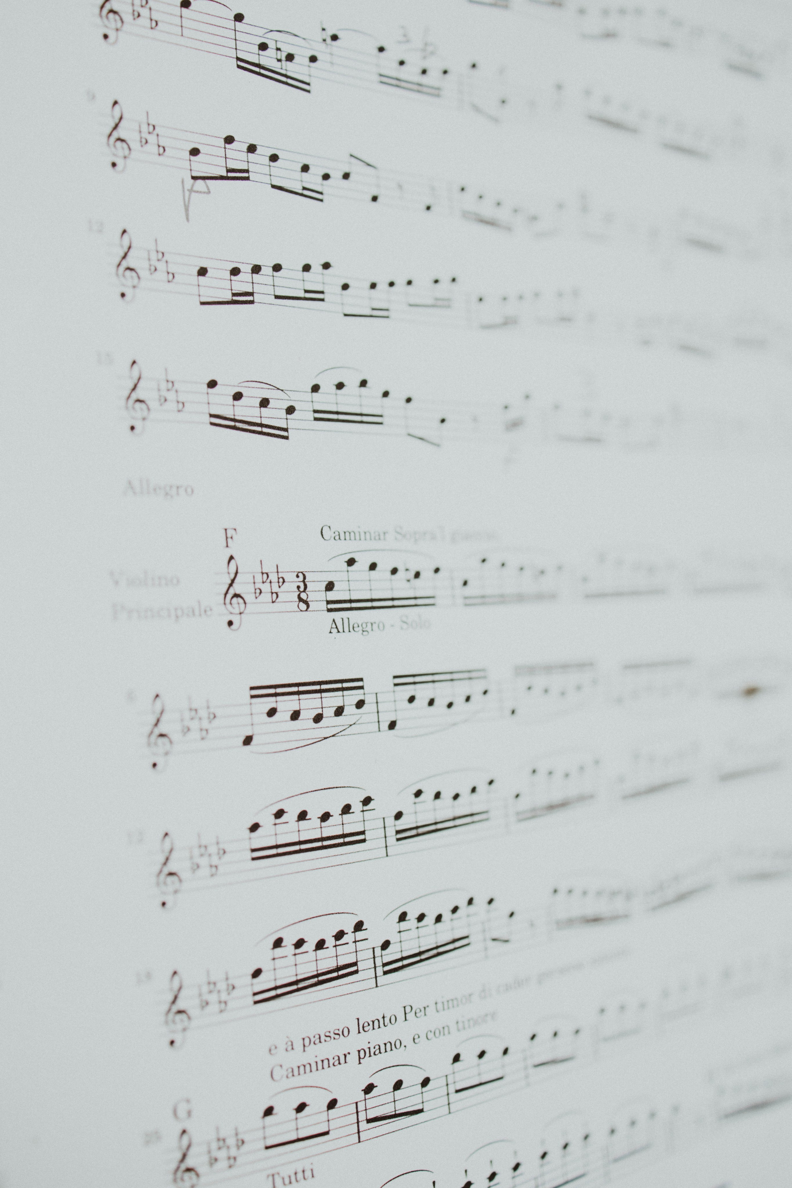 JULIA DAWID. Fotograf Mykhalchuk Inna Kraków