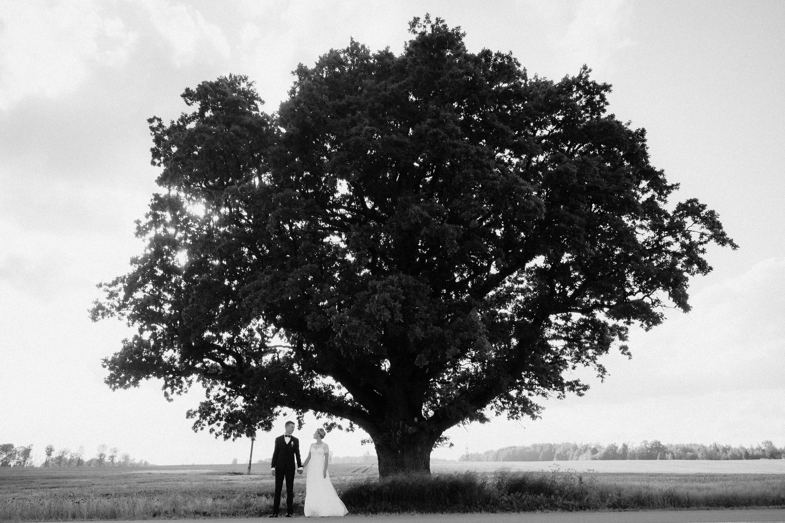 Evitas un Mārtiņa kāzu stāsts. Fotogrāfs kāzām, ģimenēm un dažādiem pasākumiem