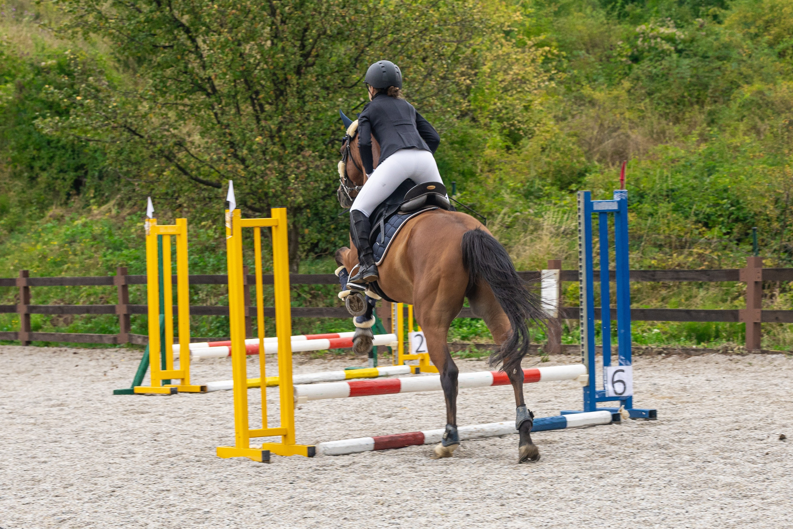 Show Jumping Competition Sarajevo is a photography series by photographer Namir Čomaga, presenting the dynamics of equestrian sport and show jumping competitions through sports and event photography.The photographs were created in Sarajevo, Bosnia and Herzegovina, documenting young riders, horses and competitive show jumping moments through carefully composed images capturing the precision, strength and elegance of equestrian sport.This gallery is part of the author's photography portfolio, focusing on Sarajevo photography, Bosnia and Herzegovina photography, sports photography, equestrian photography and event photography.