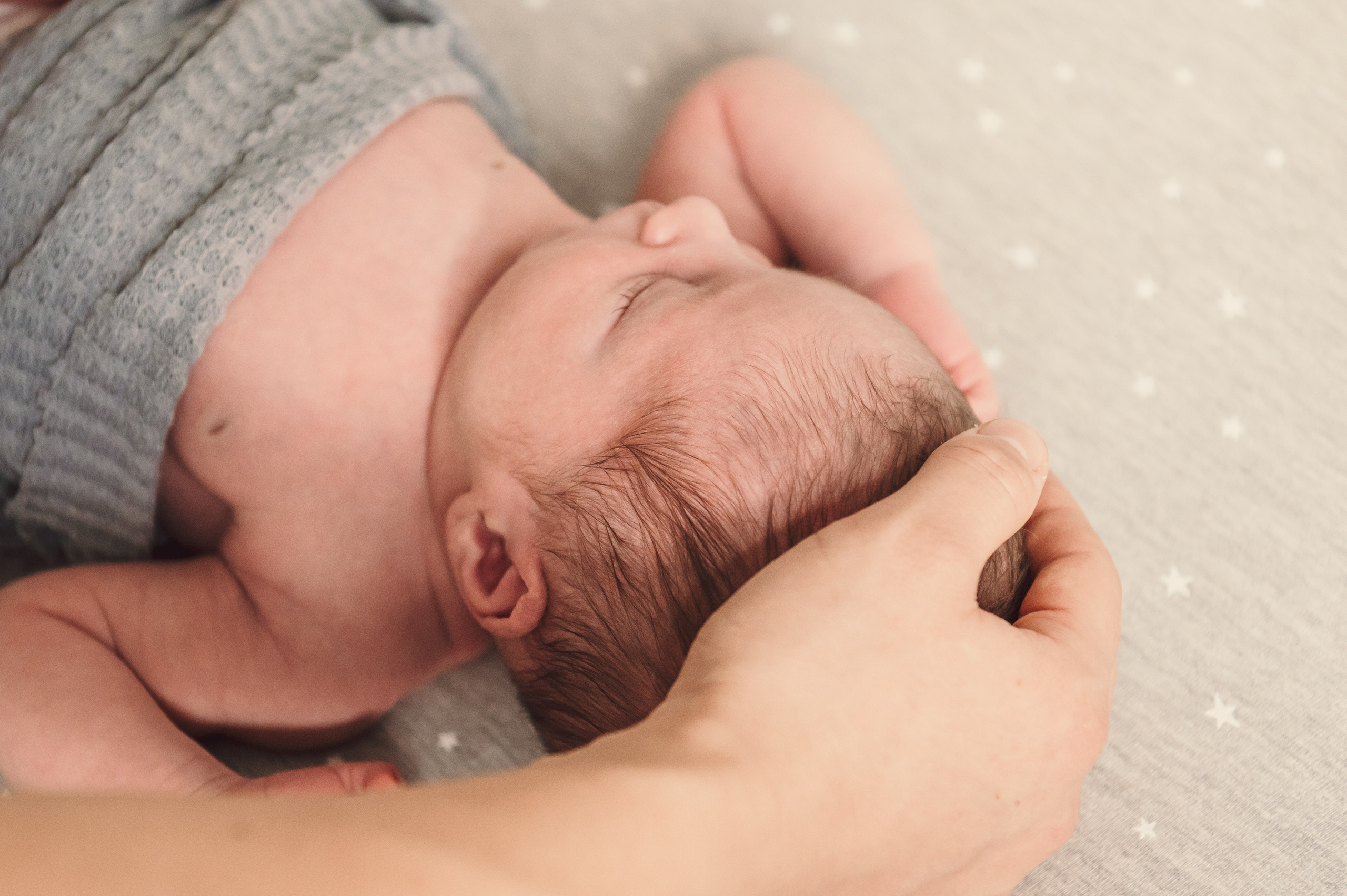 David. Maternity Newborn and Family photographer Hamburg Claire Hambley