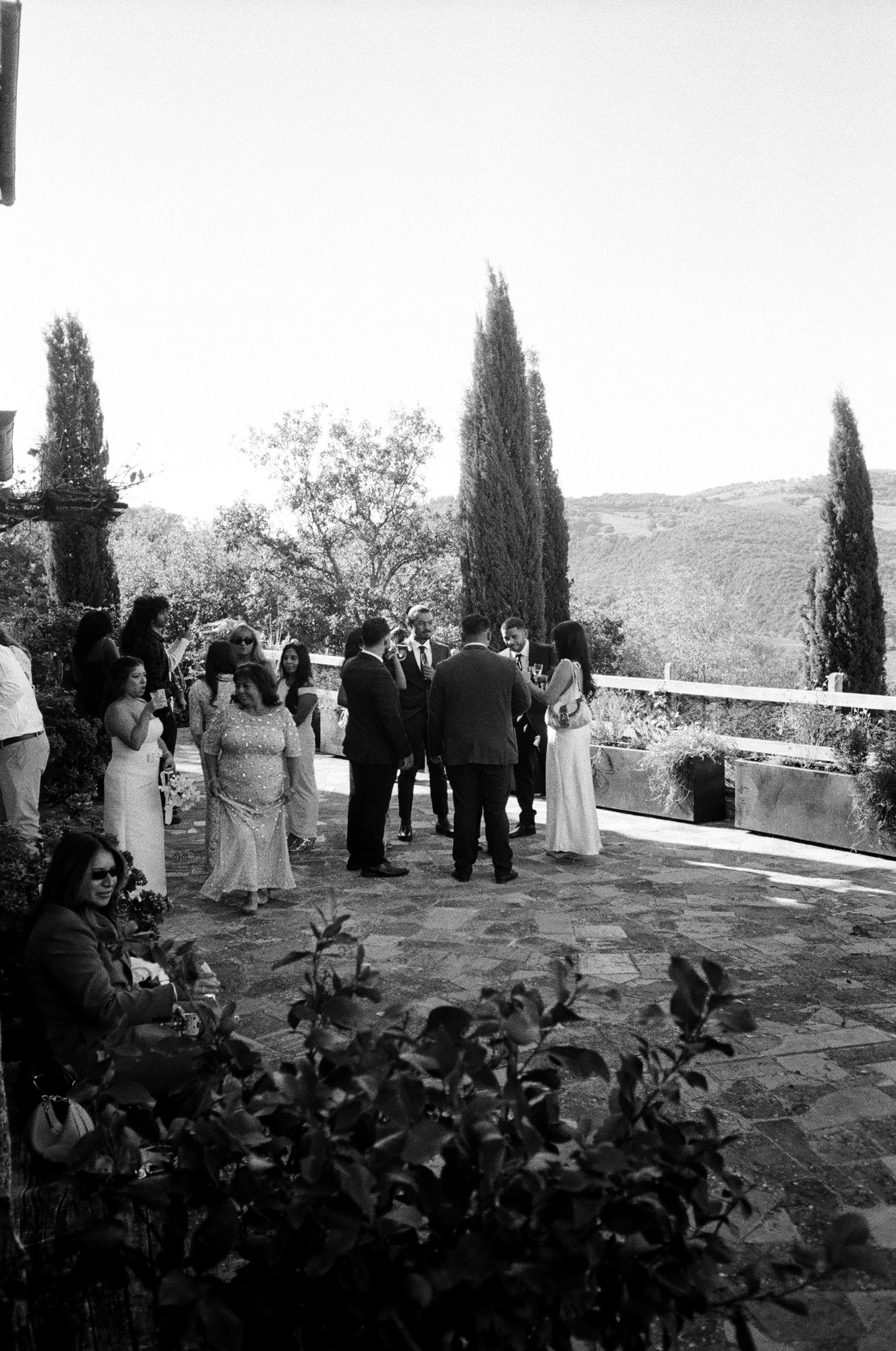 Mitcell&Melanie film. Свадебный фотограф Виктория Саврук