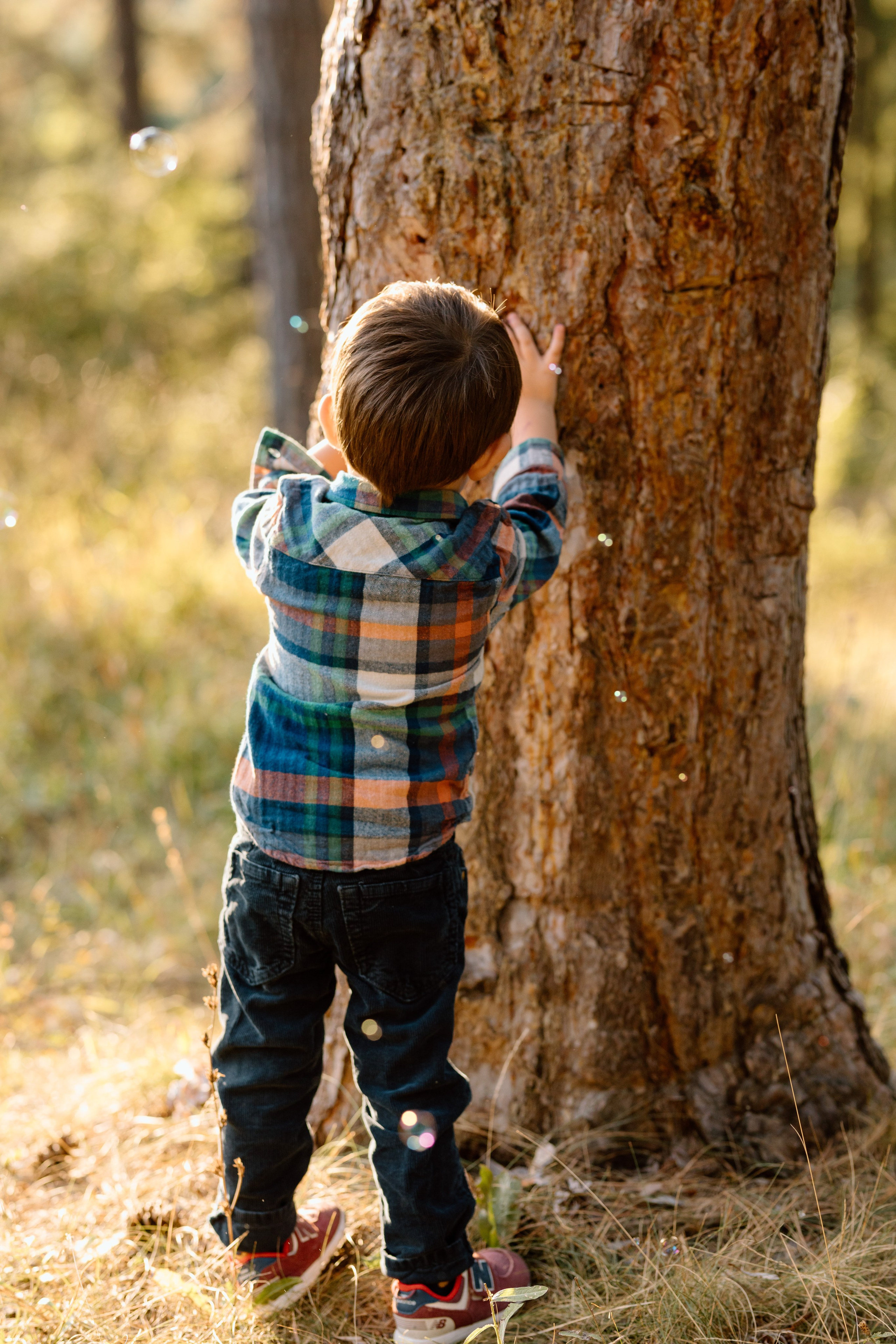 Sanziana, Daniel & Alexandru — Family. Main