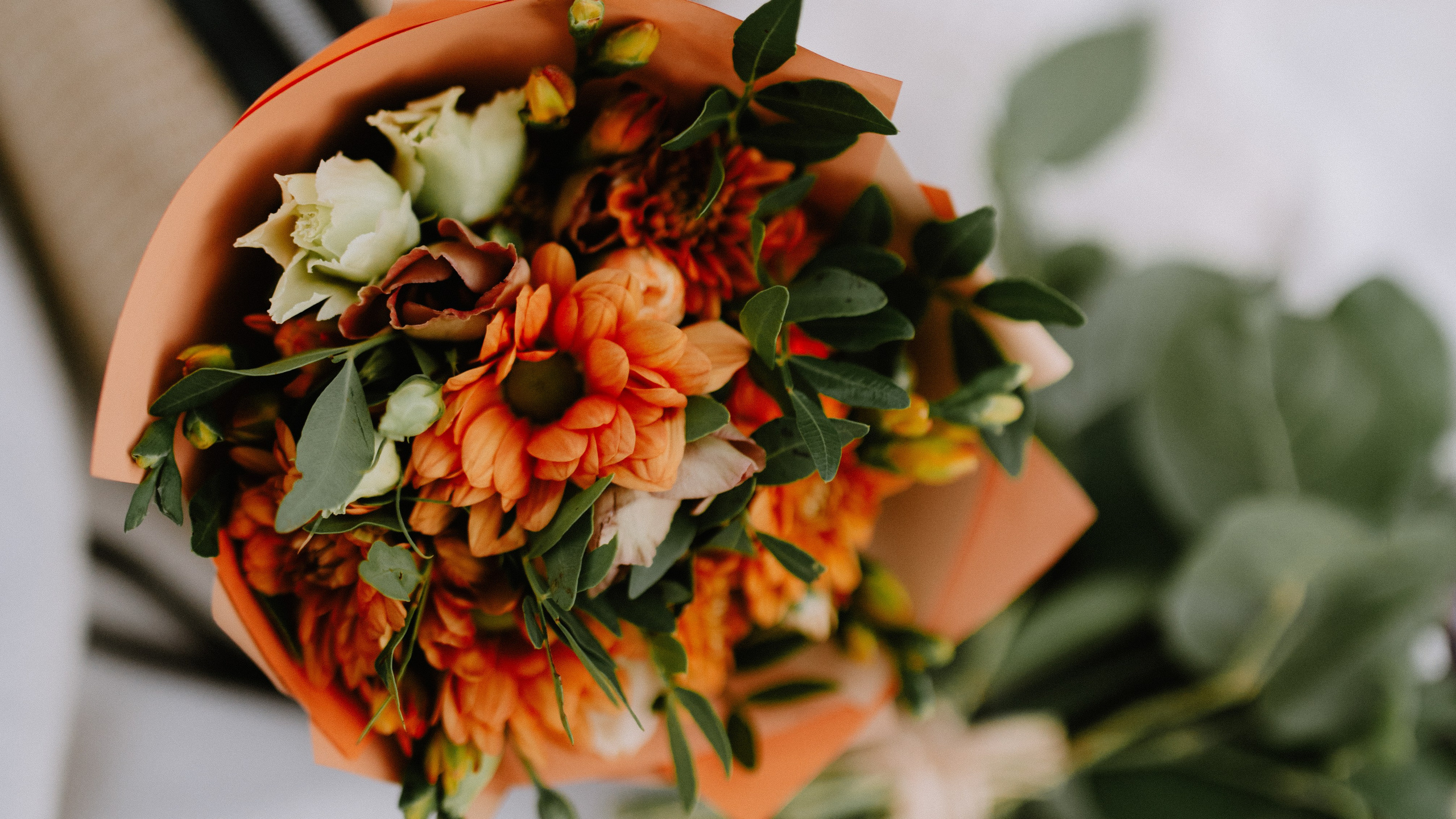 Oli&klaudi. ANNA-MARIA PHOTO CONTENT CREATOR — фотограф, эстет, художник и визуальный эксперт в Instagram, работающий в Праге