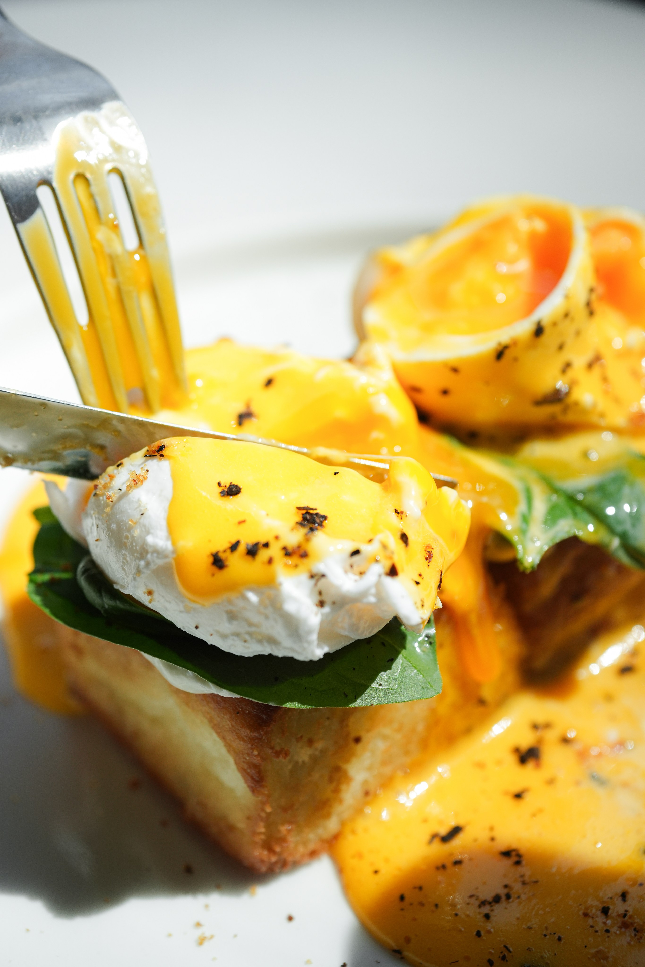 45Cafe. Family and personal photographer in Dubai