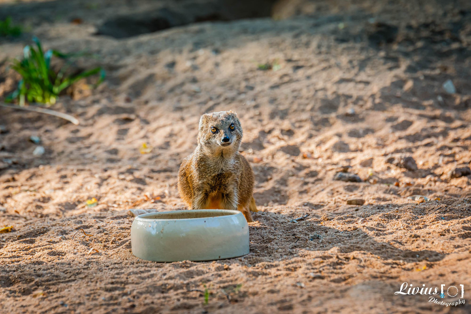 Tierpark Nürnberg. FOTO KREATIV