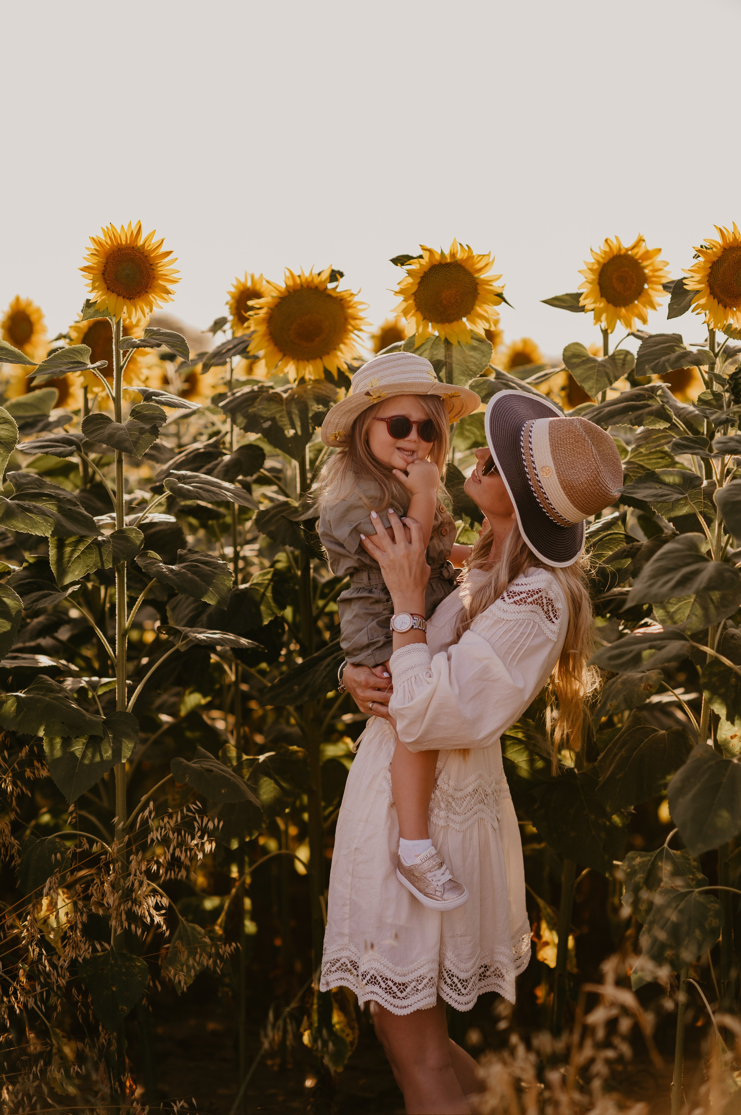 Polje suncokreta. Ana Sladojevic
