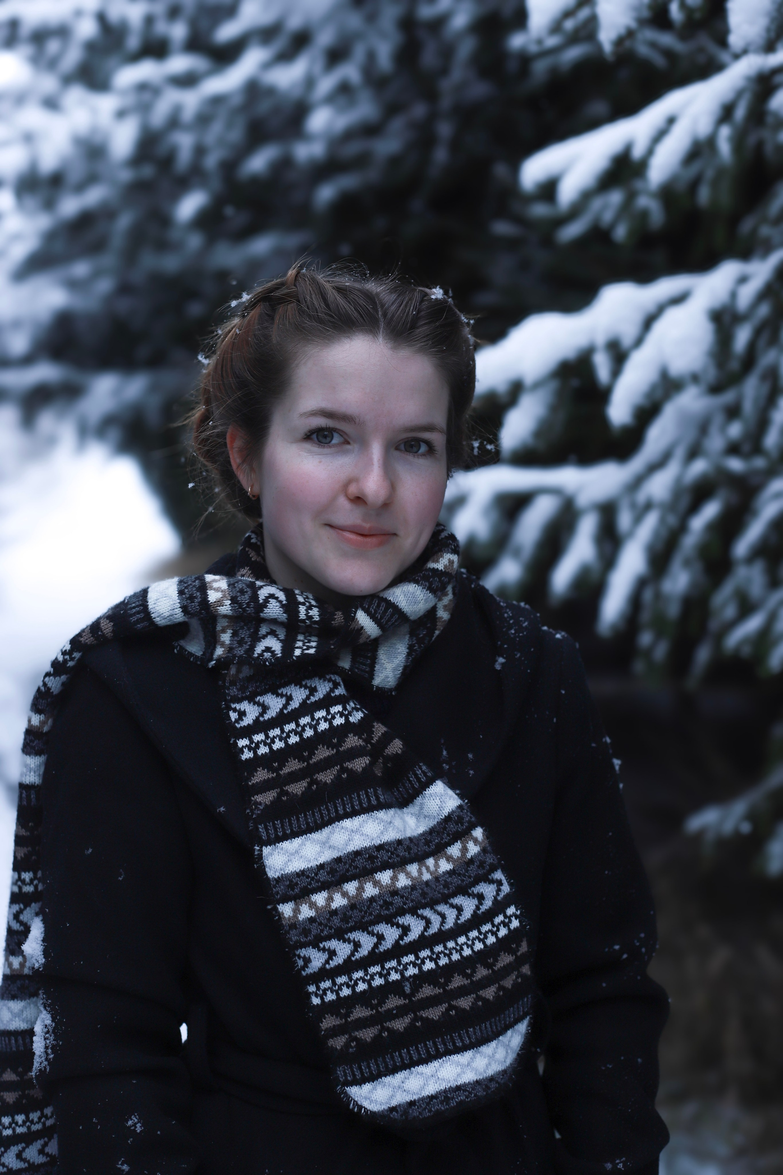 Winterfotografie (im Wald). Olena Fritz Fotografie