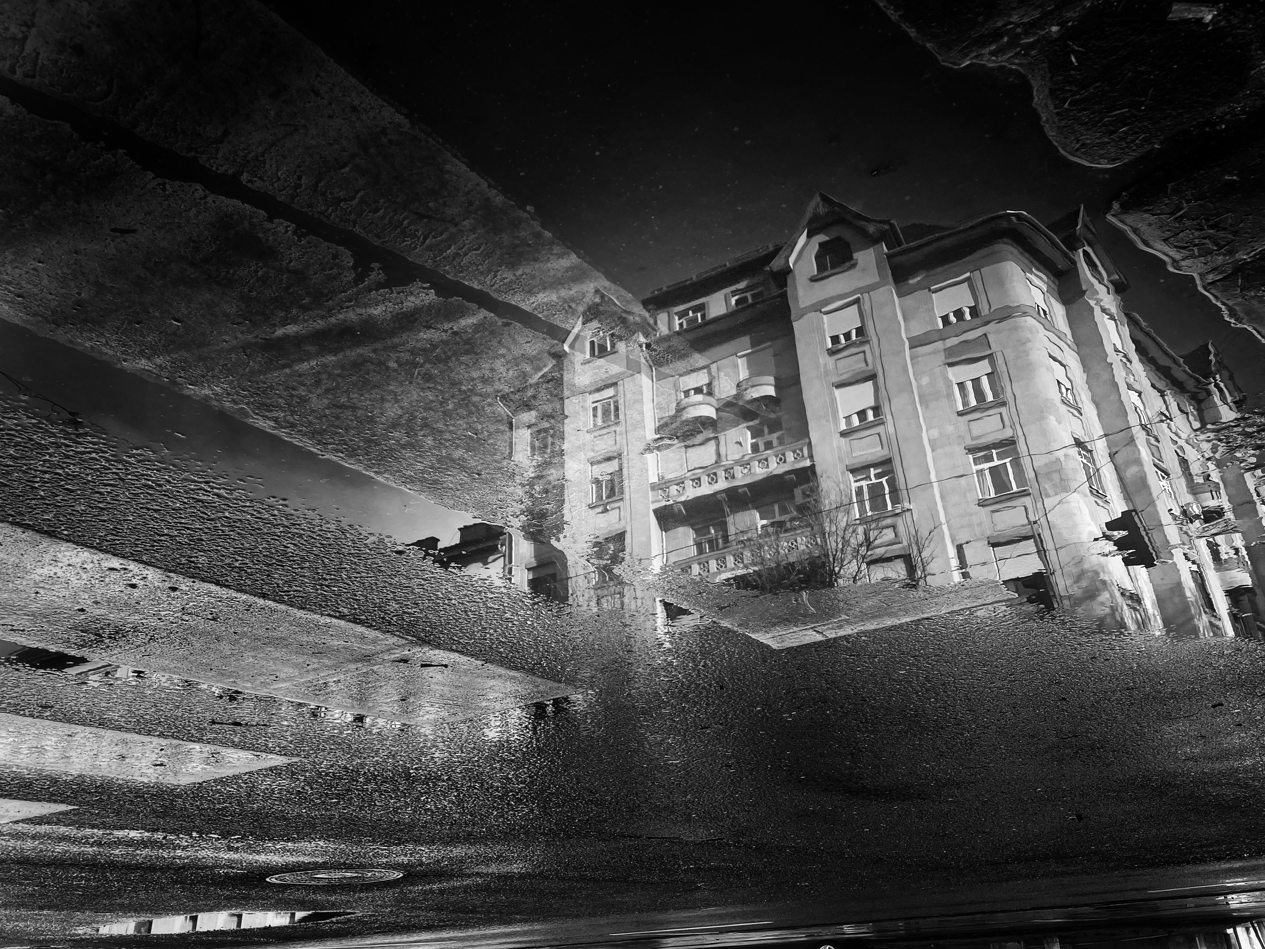 reflection of a house in a puddle | Budapest 2026 | IPHONE 12 PRO