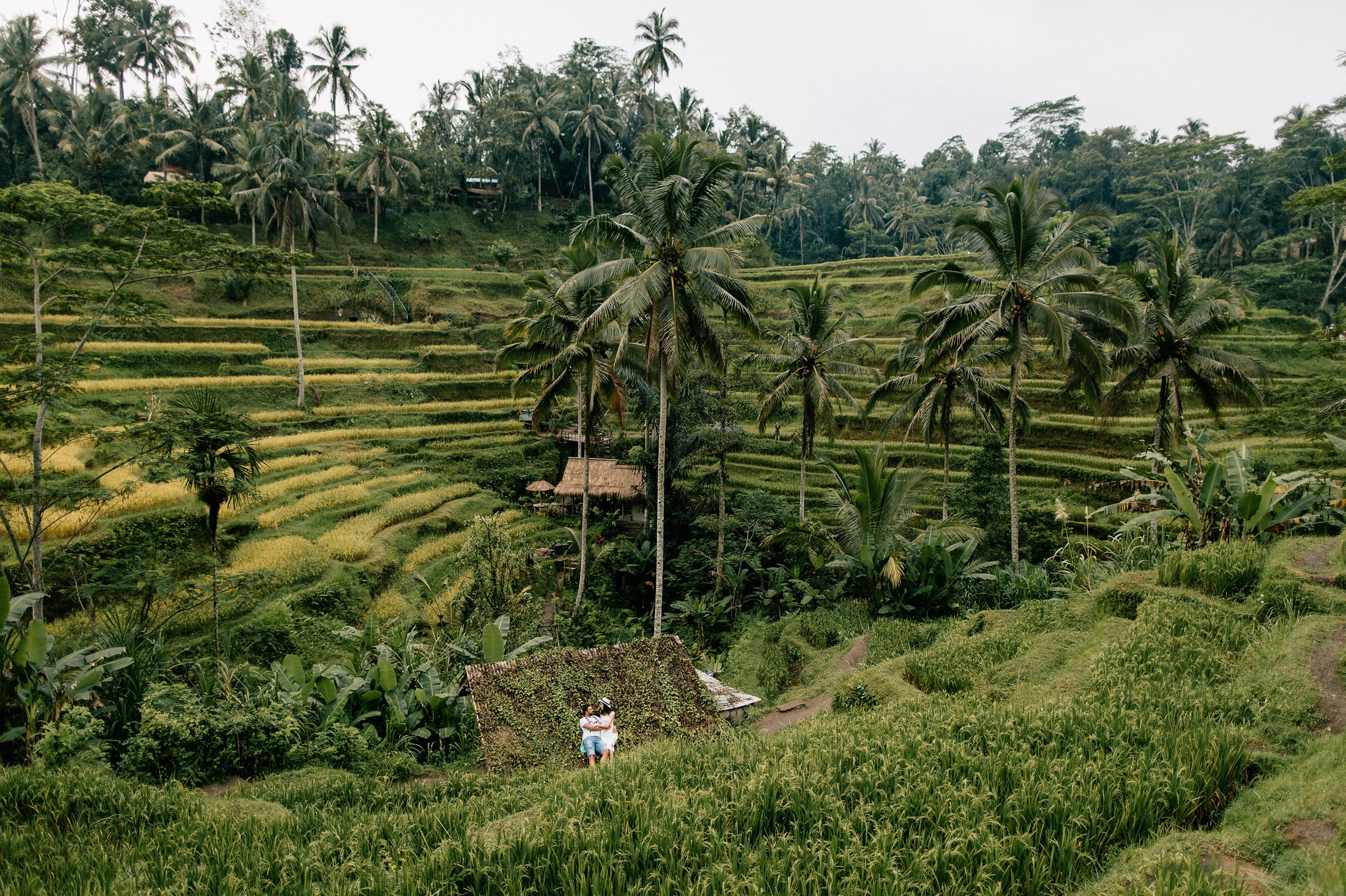 Hotel + Rice terraces. Getitfeel — Aesthetic Photography and Videography