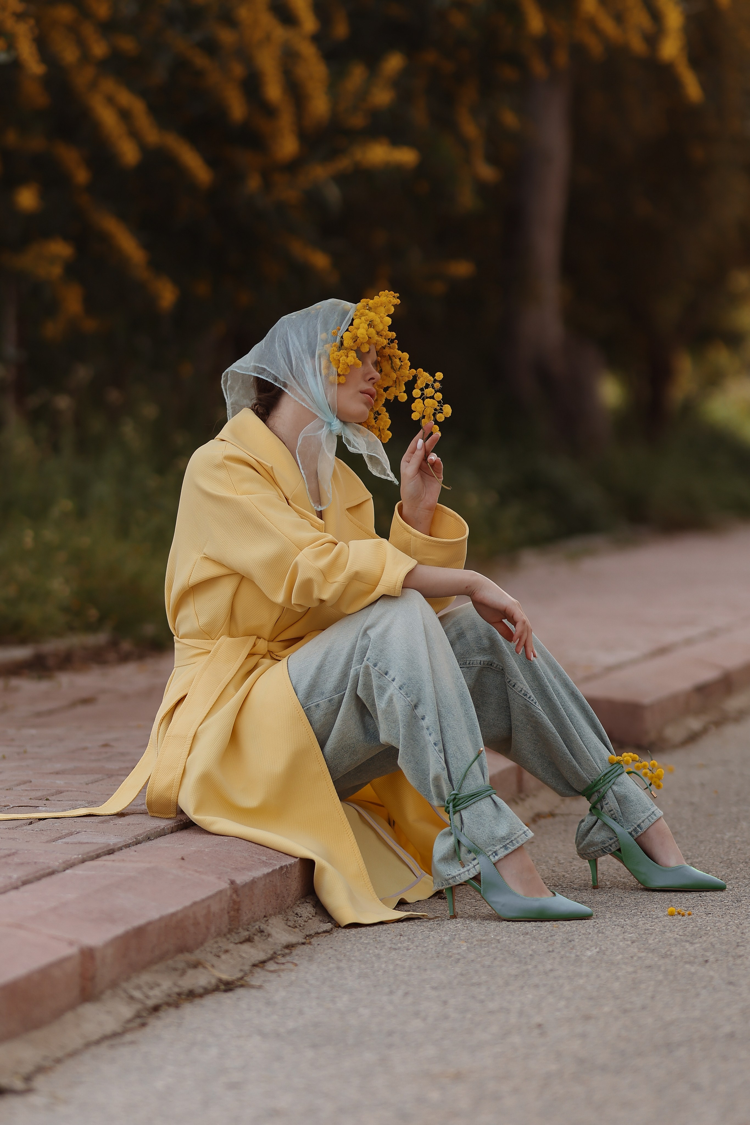 Цветение мимозы в Турции. Фотосессия в мимозе. Фотосессия с мимозой. Фотограф в Турции. Что сейчас цветет в Турции. Что сейчас цветет в Аланьи. Что цветет в апреле в анталии. Фотограф Алания турция. Мимоза в Турции. Цветение в Турции. Турецкая мимоза . Мимоза турция. 