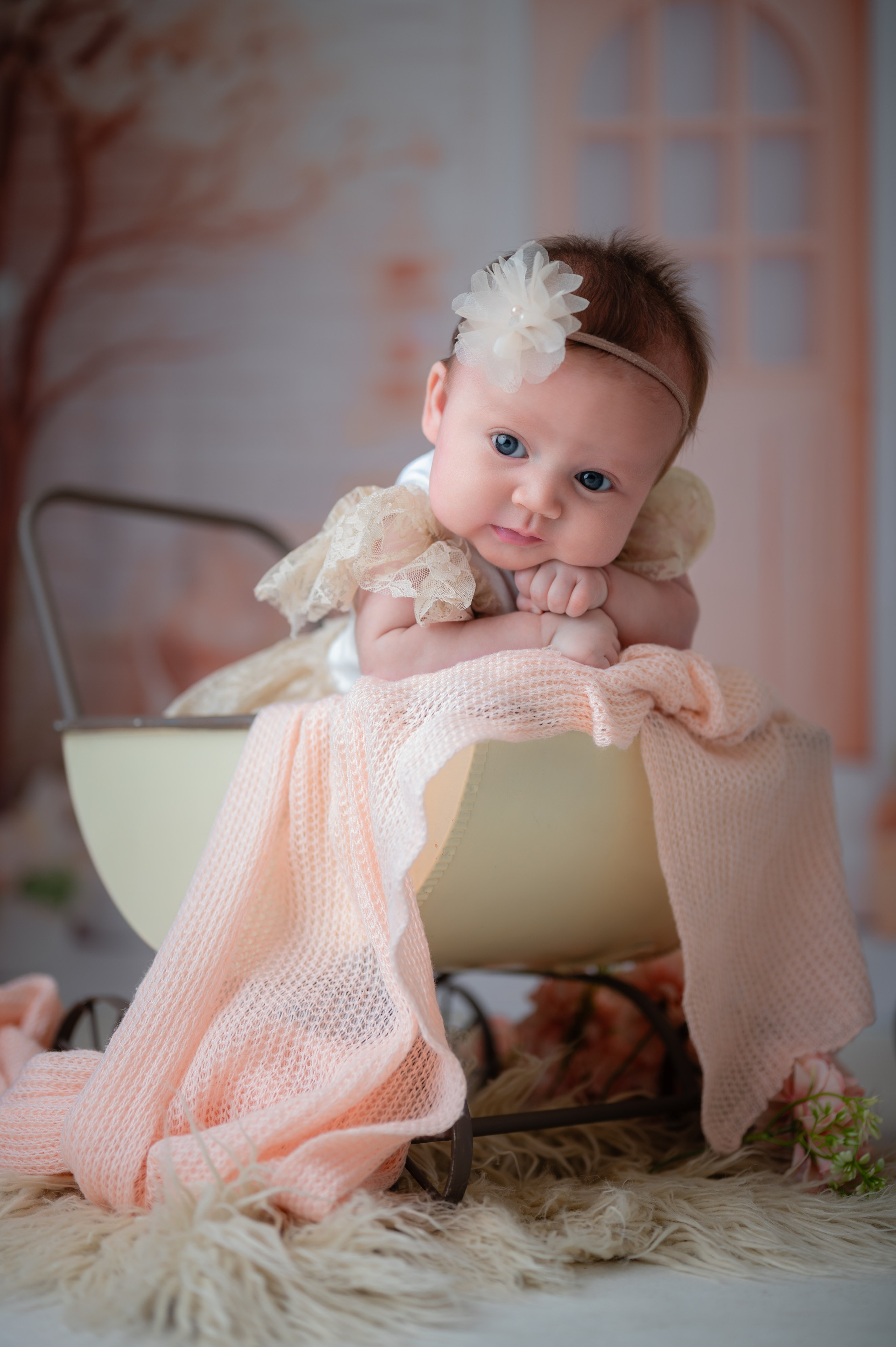 Acompanhamentos. Fotografamos famílias, gestantes, bebês e ensaios individuais