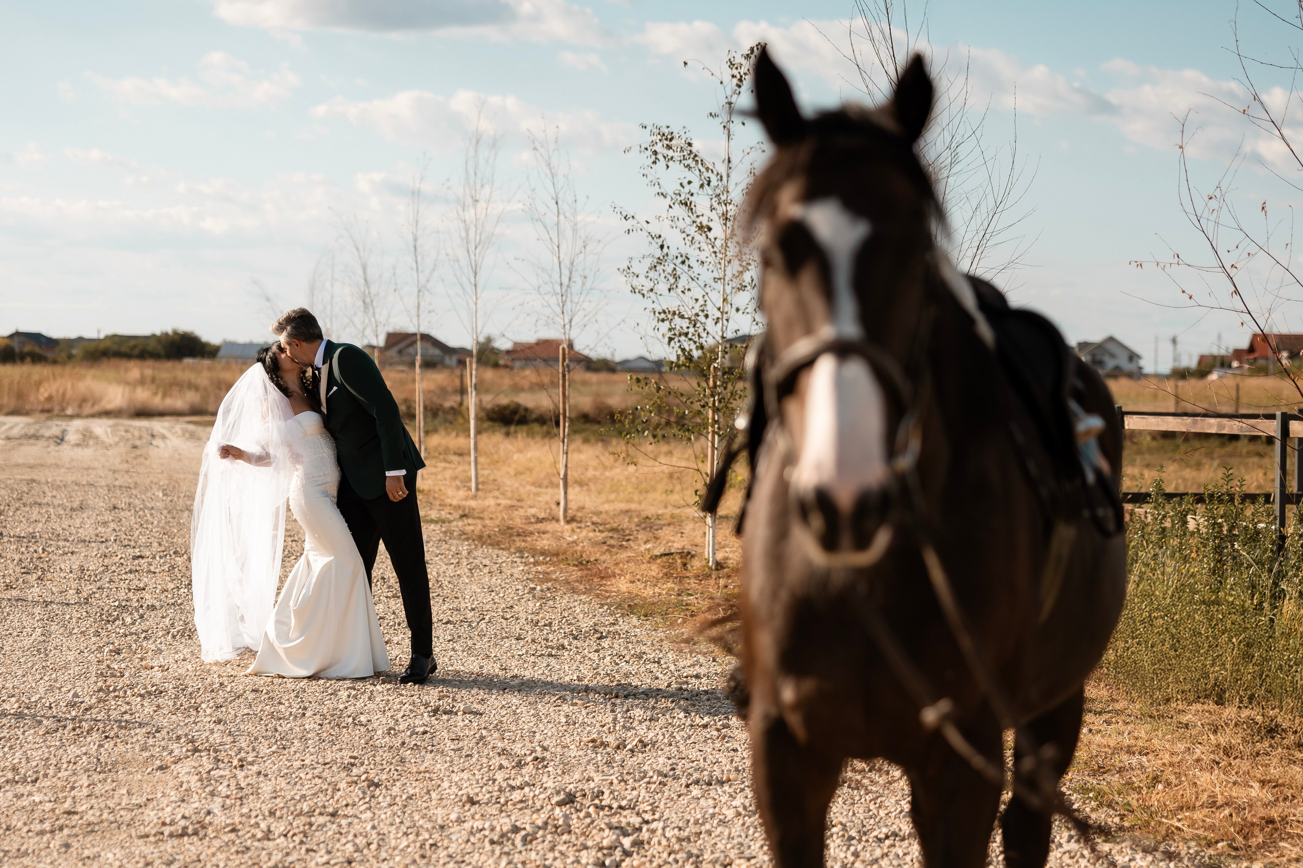 Corina & Adrian. Blink Photo — Fotografie & Videografie Nuntă