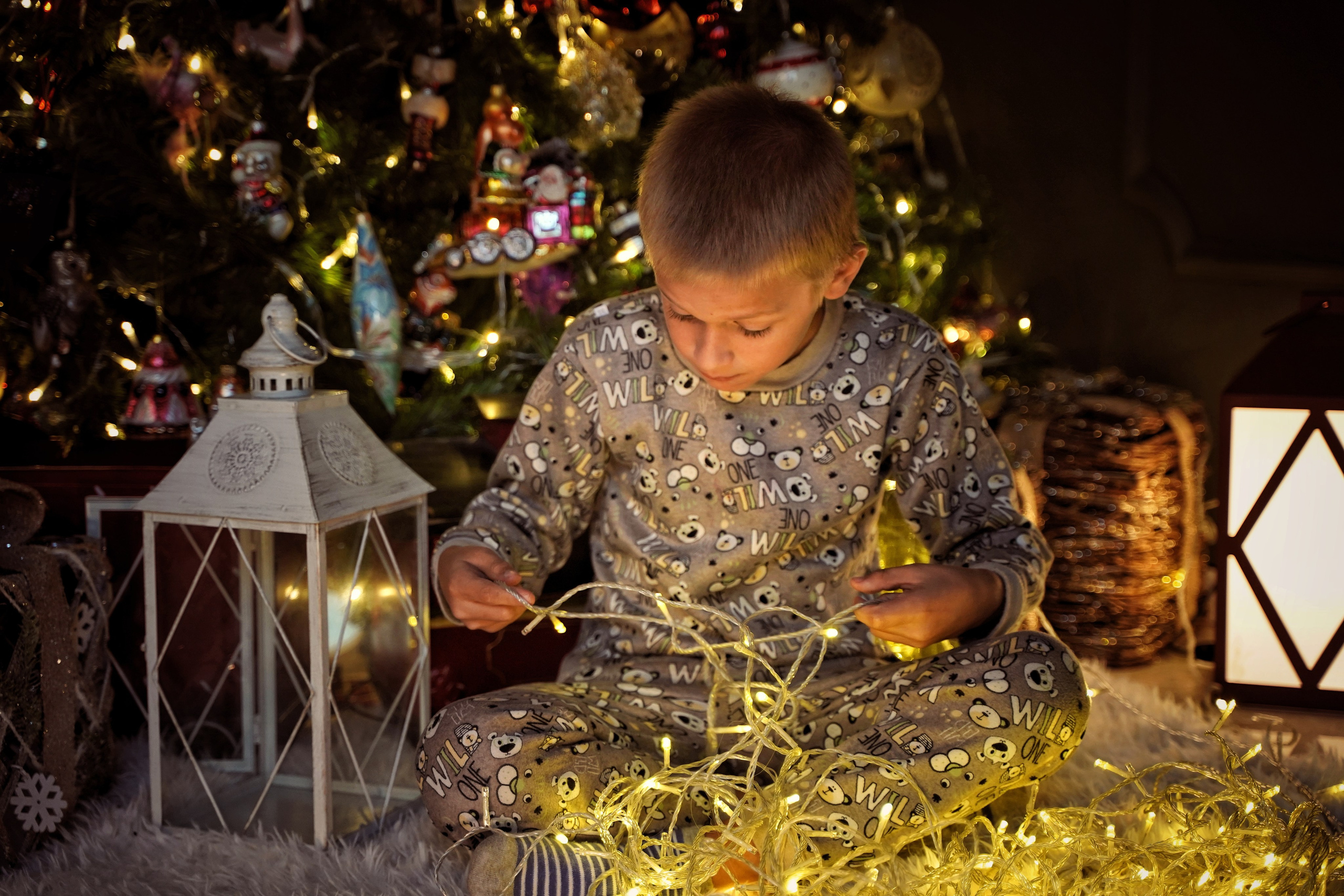 Эльфы. Фотограф. Визуал. Хайфа. Талья Цветкова