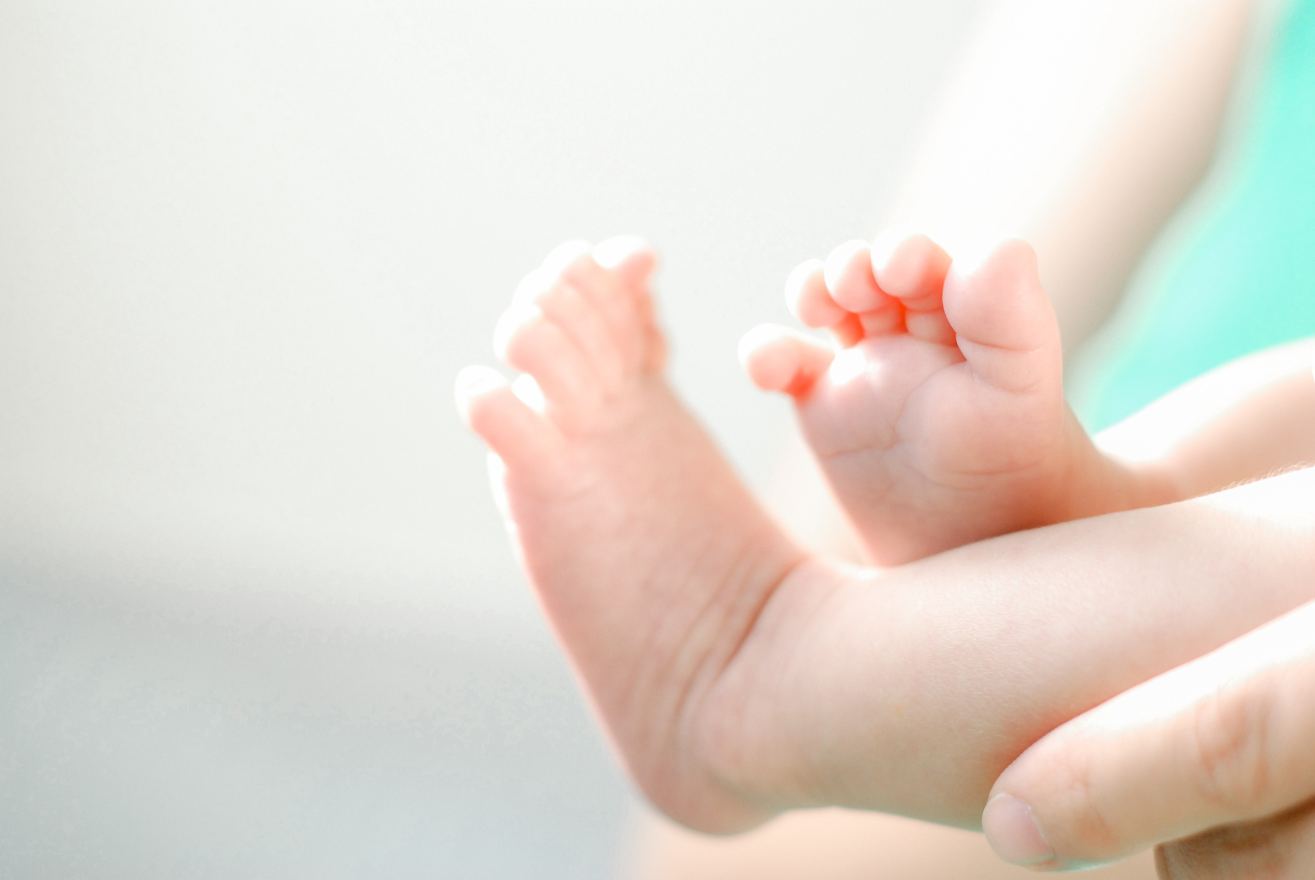 Family & Maternity. Wedding and family photographer in New England