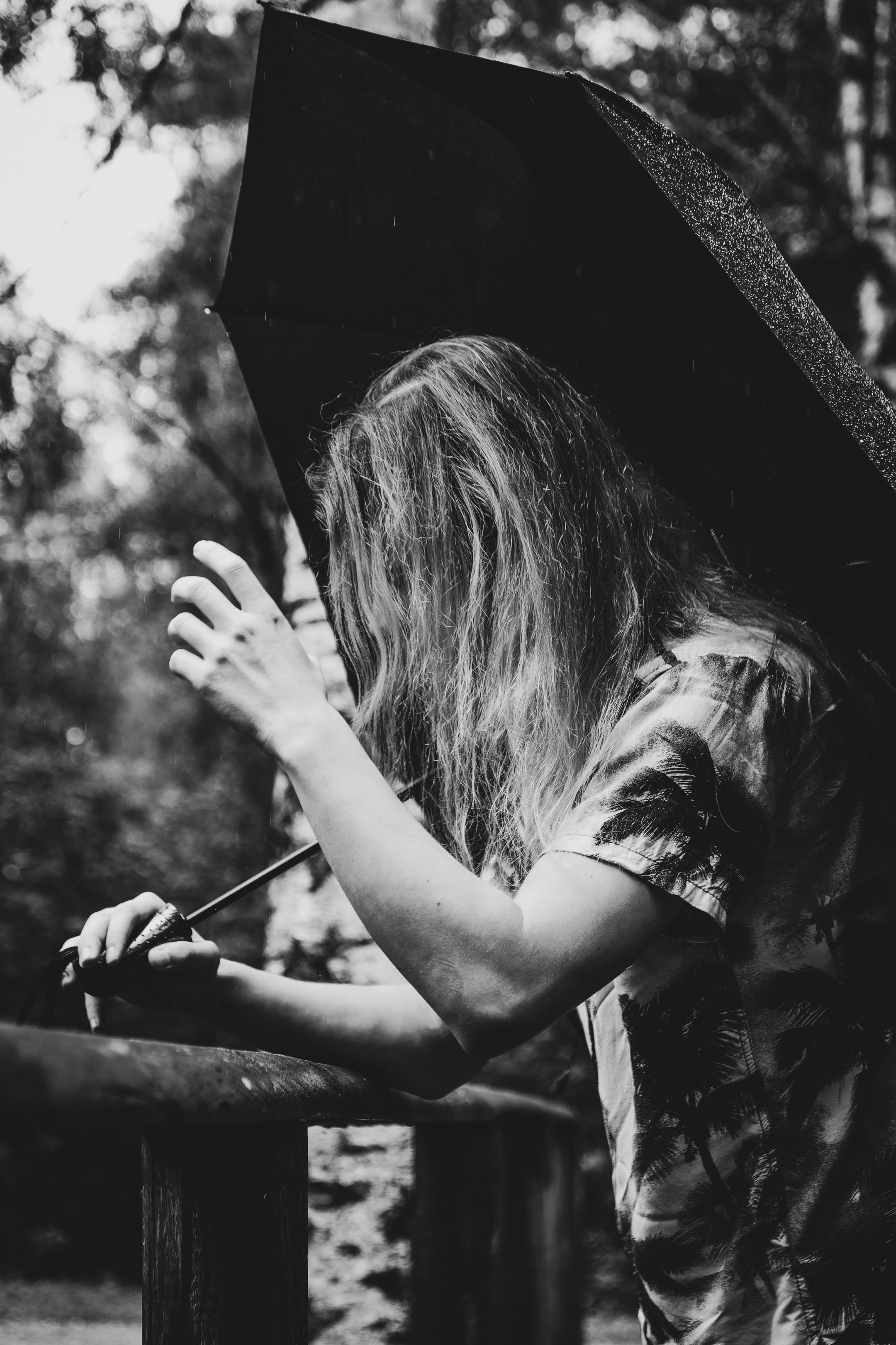 Mets, vihm ja jahedus (Dimitry). Nebula 25 — Fotod teie hingele