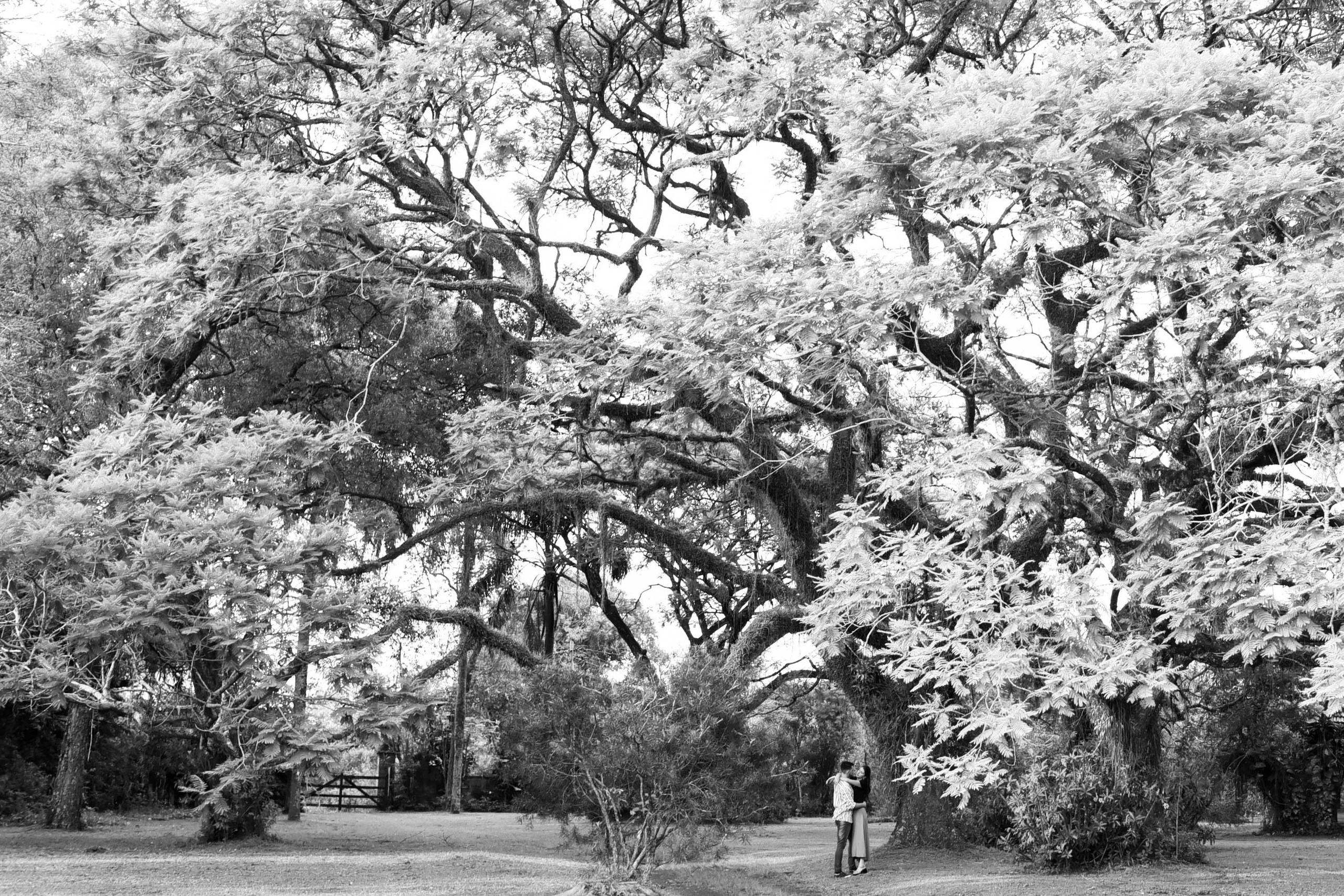Maru & Dario. Fotografo de casamiento en misiones y fotógrafo de familia  Posadas