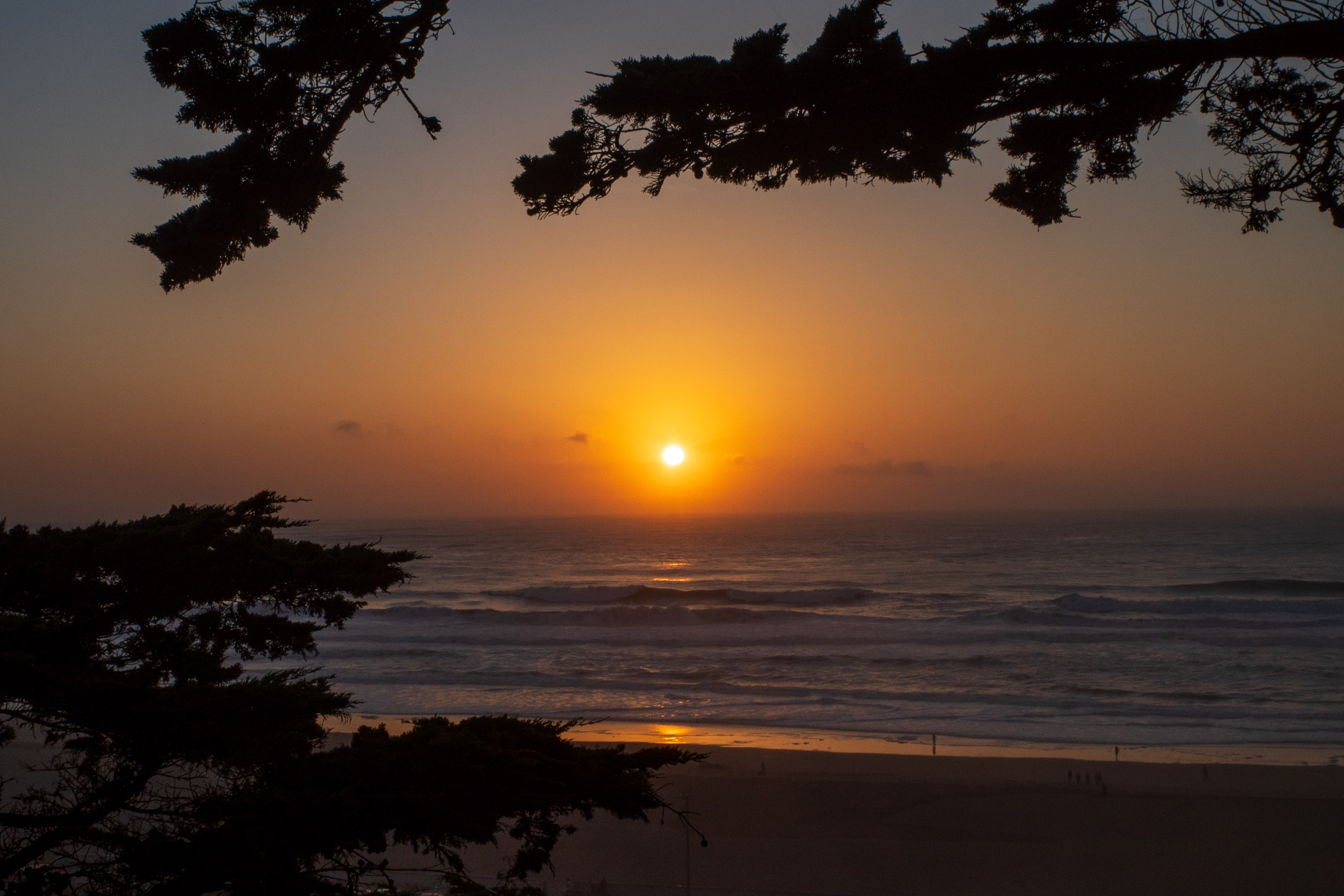 San Francisco. Aleks.photo | Book a photoshoot