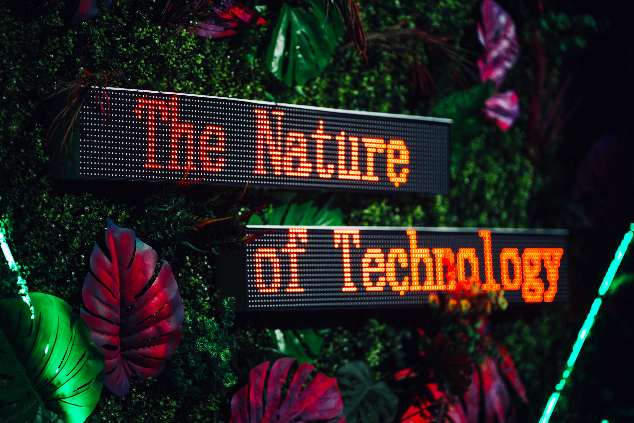 Tieto. Свадебный фотограф в Риге Юрий Кор