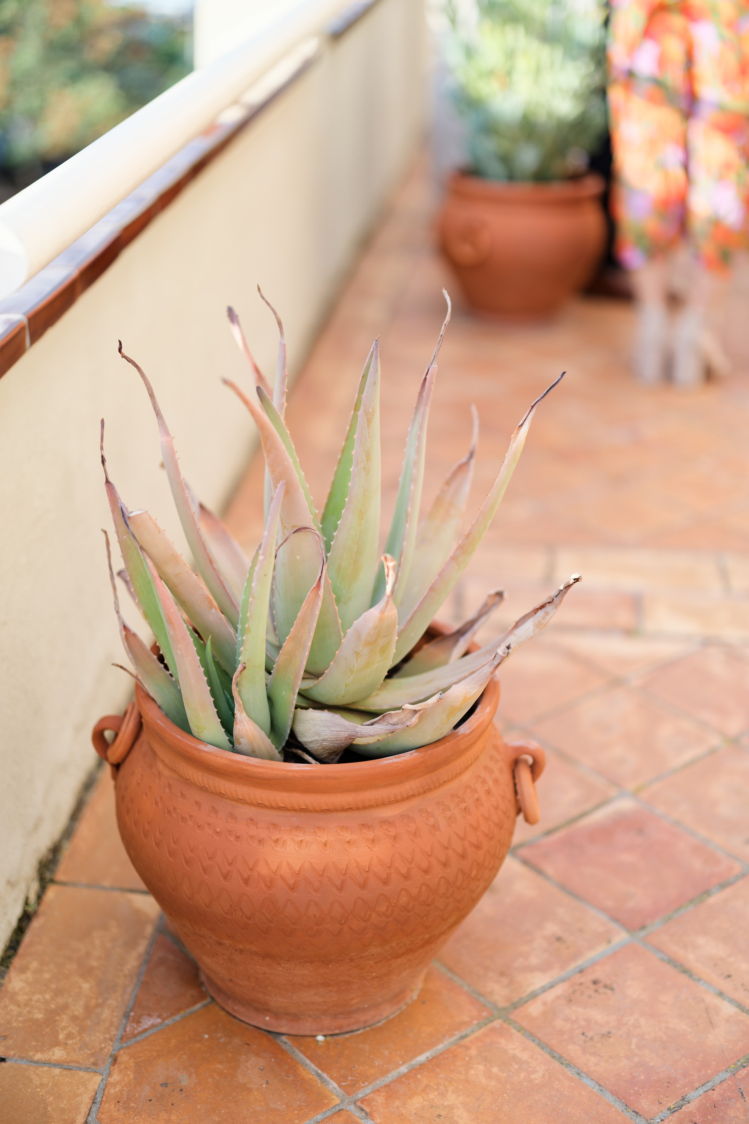 Welcome dinner of Gracie & Joe at Gran Villa Rosa
