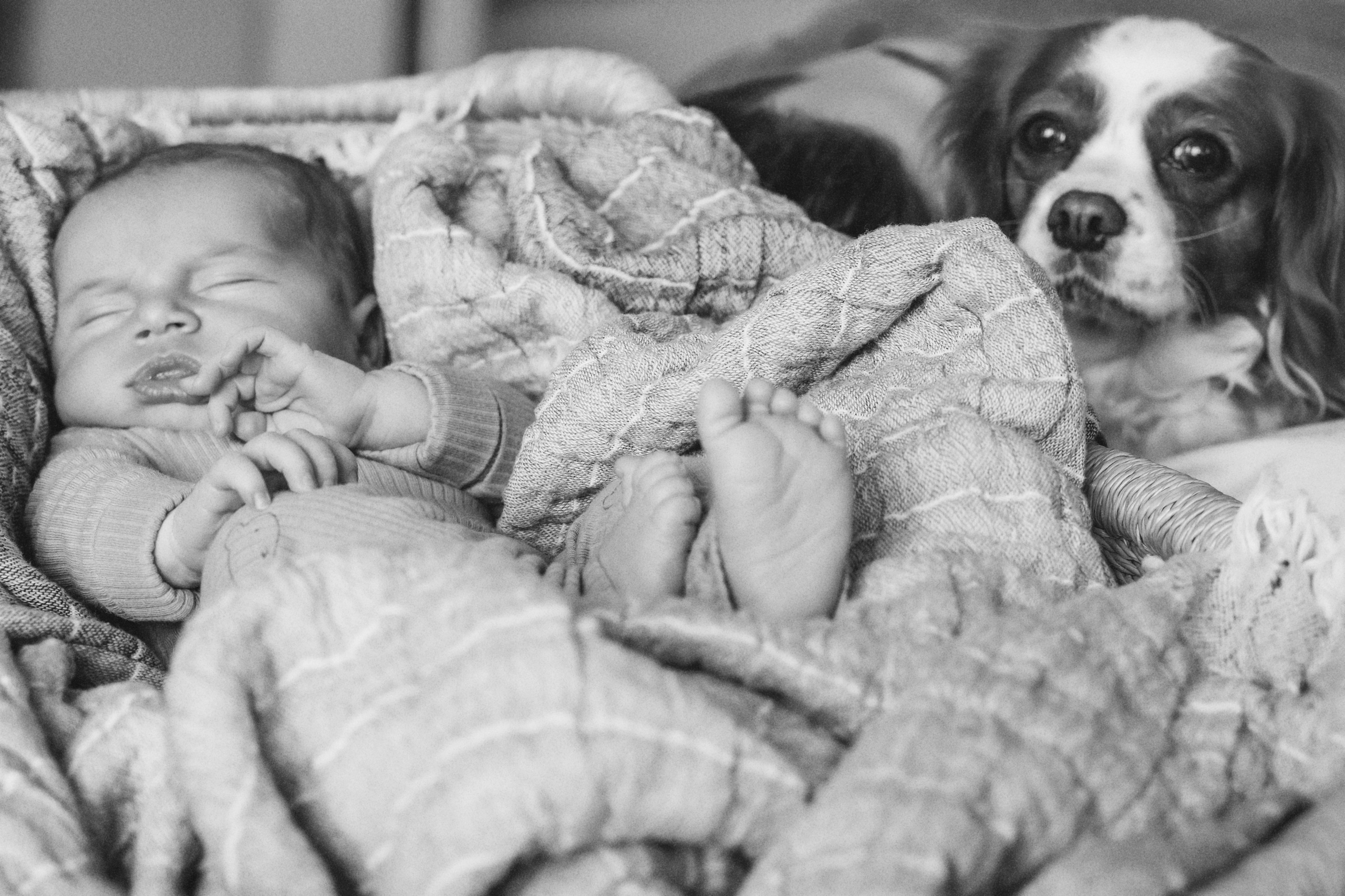 Фотосесия за новородено. Фотограф Ирина Йотова