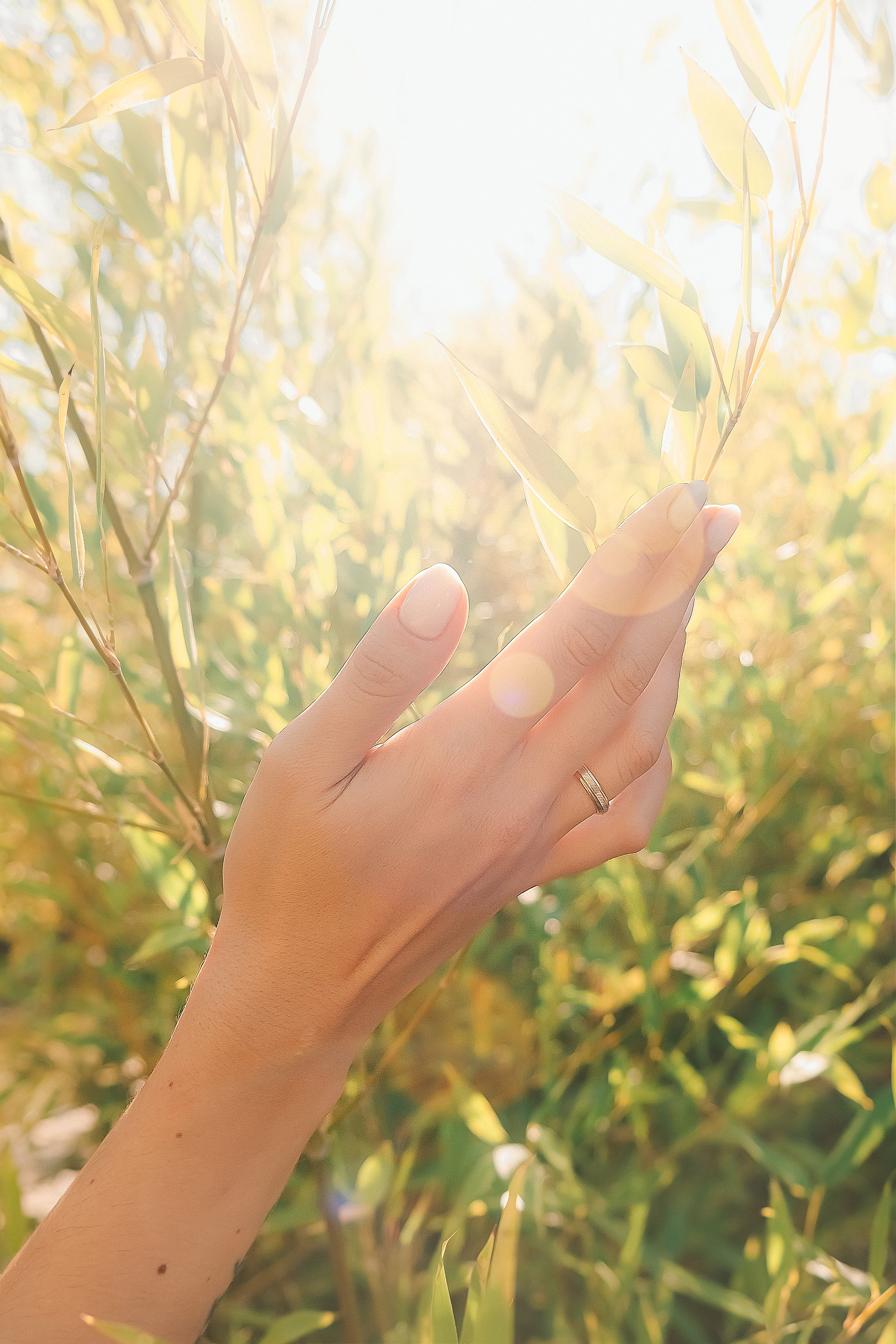 Місце кохання в Лісабоні. Валерія Сичова. Сімейний та репортажний фотограф в Португаліі