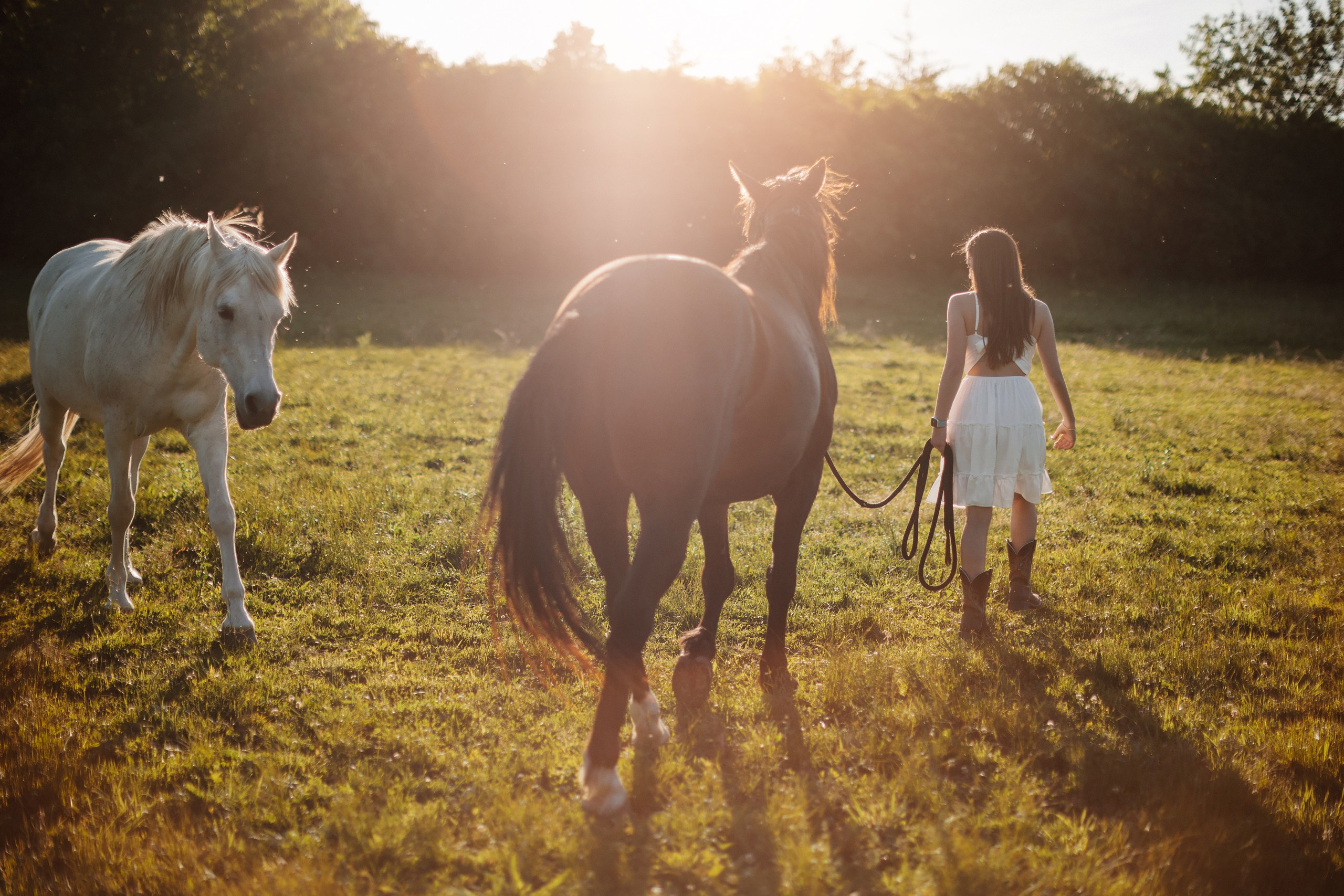 30.05.24 Family Photoshoot. Wedding family event photographer in Chicago Nick Yushevich