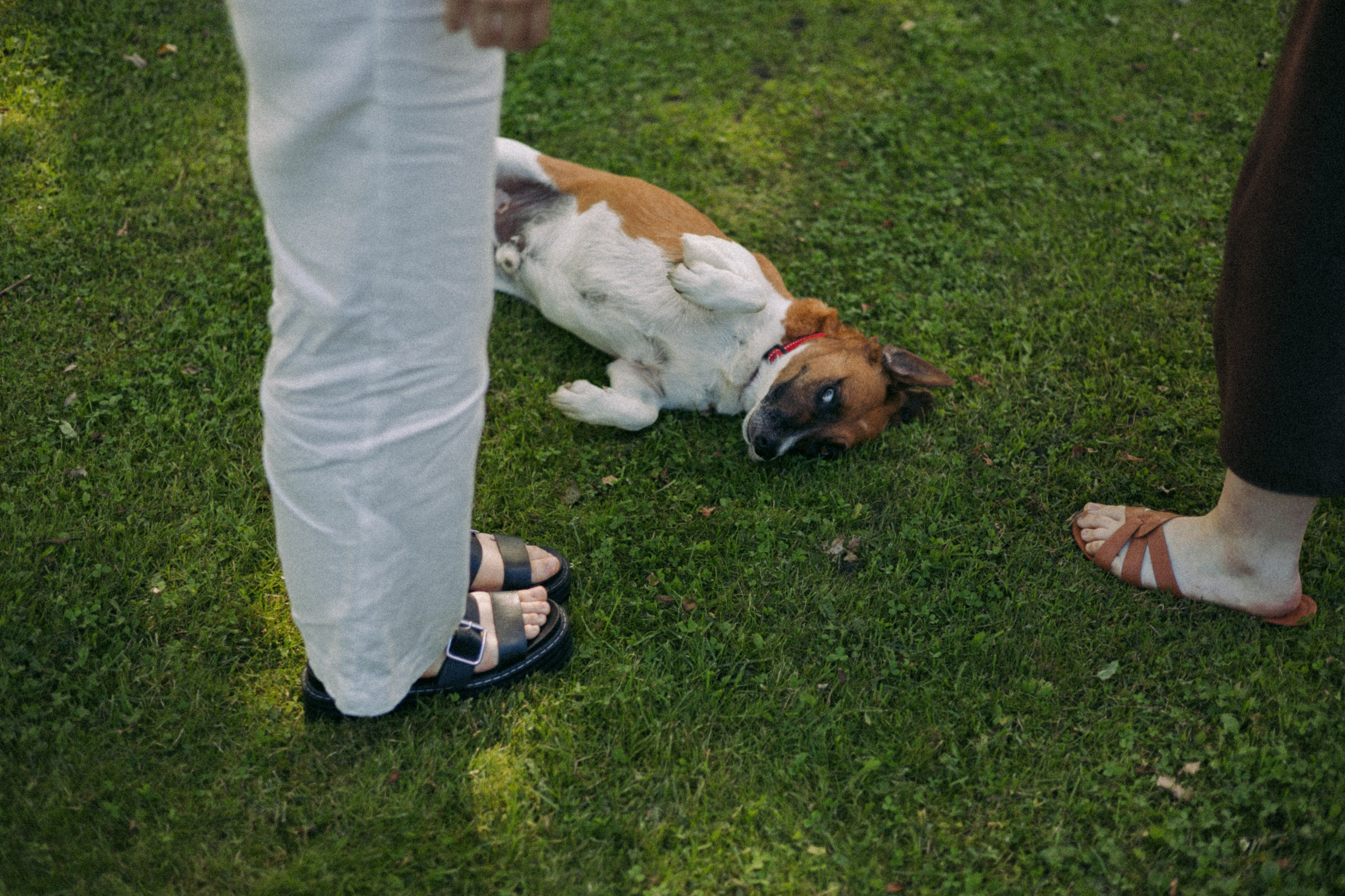 Vasara sode. Портретный фотограф Александра Самозванова