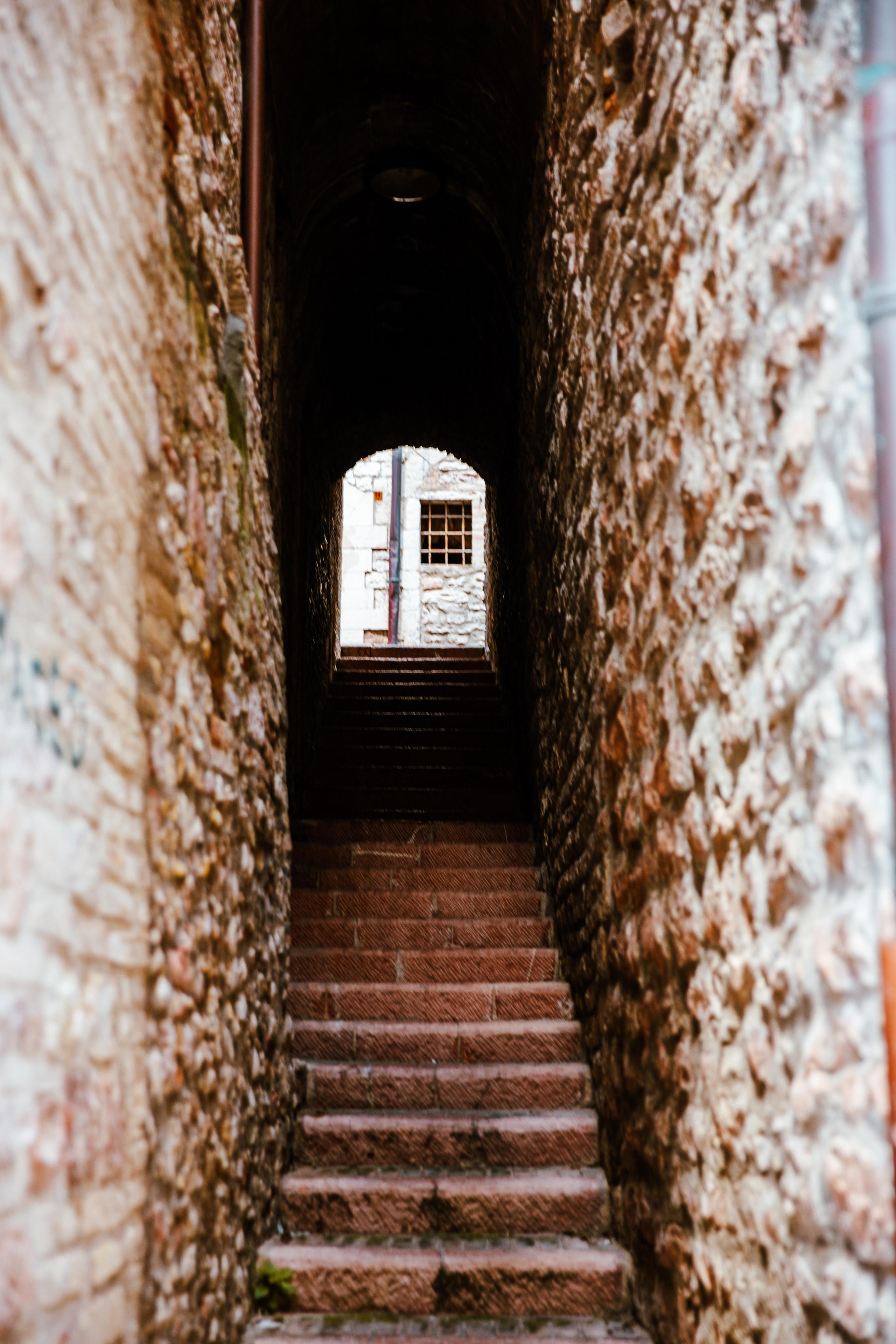 Paisagens. Thiago Chinellato