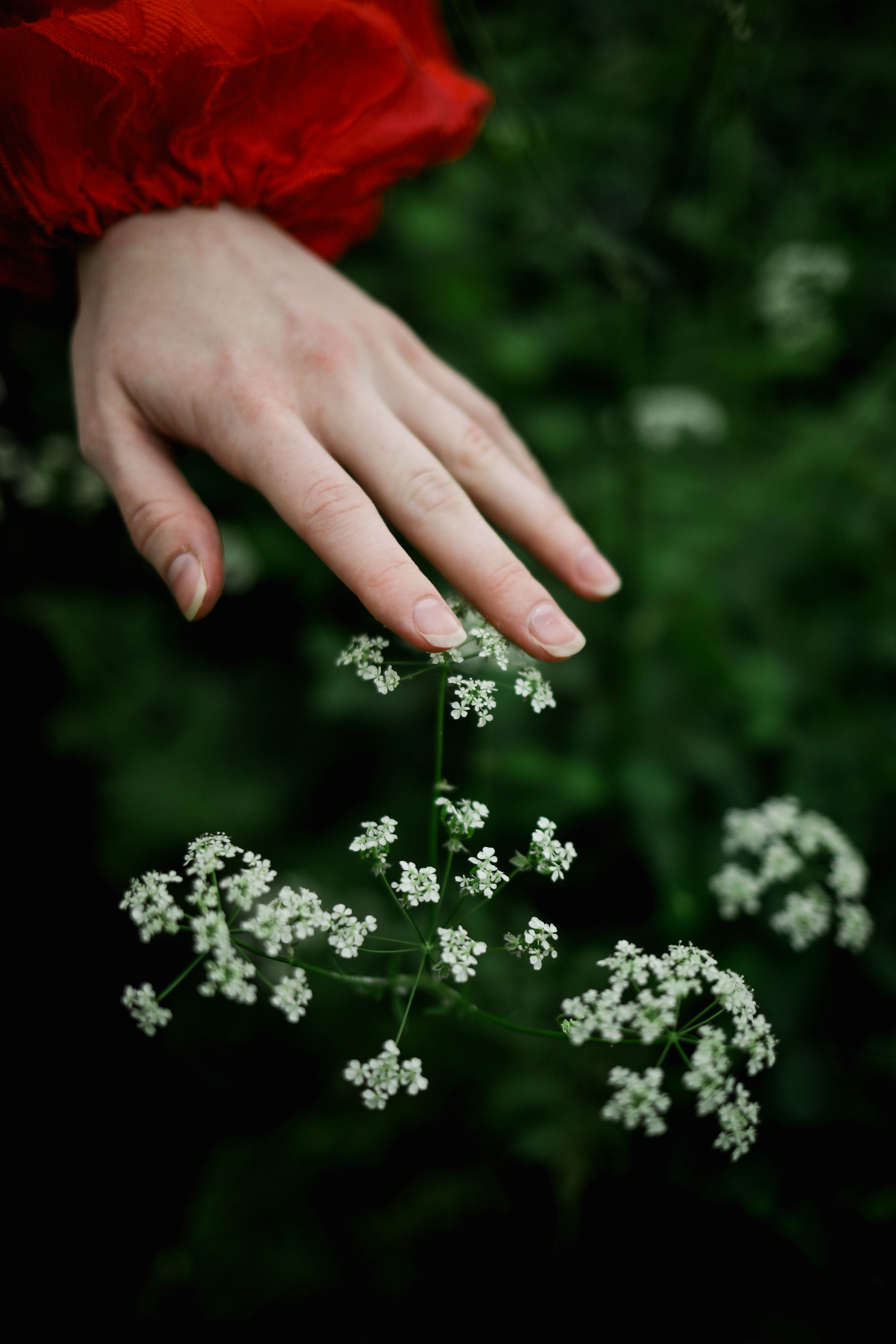 Anna Amagerstrand. Professional wedding photographer in Copenhagen, Denmark — Julia Byron