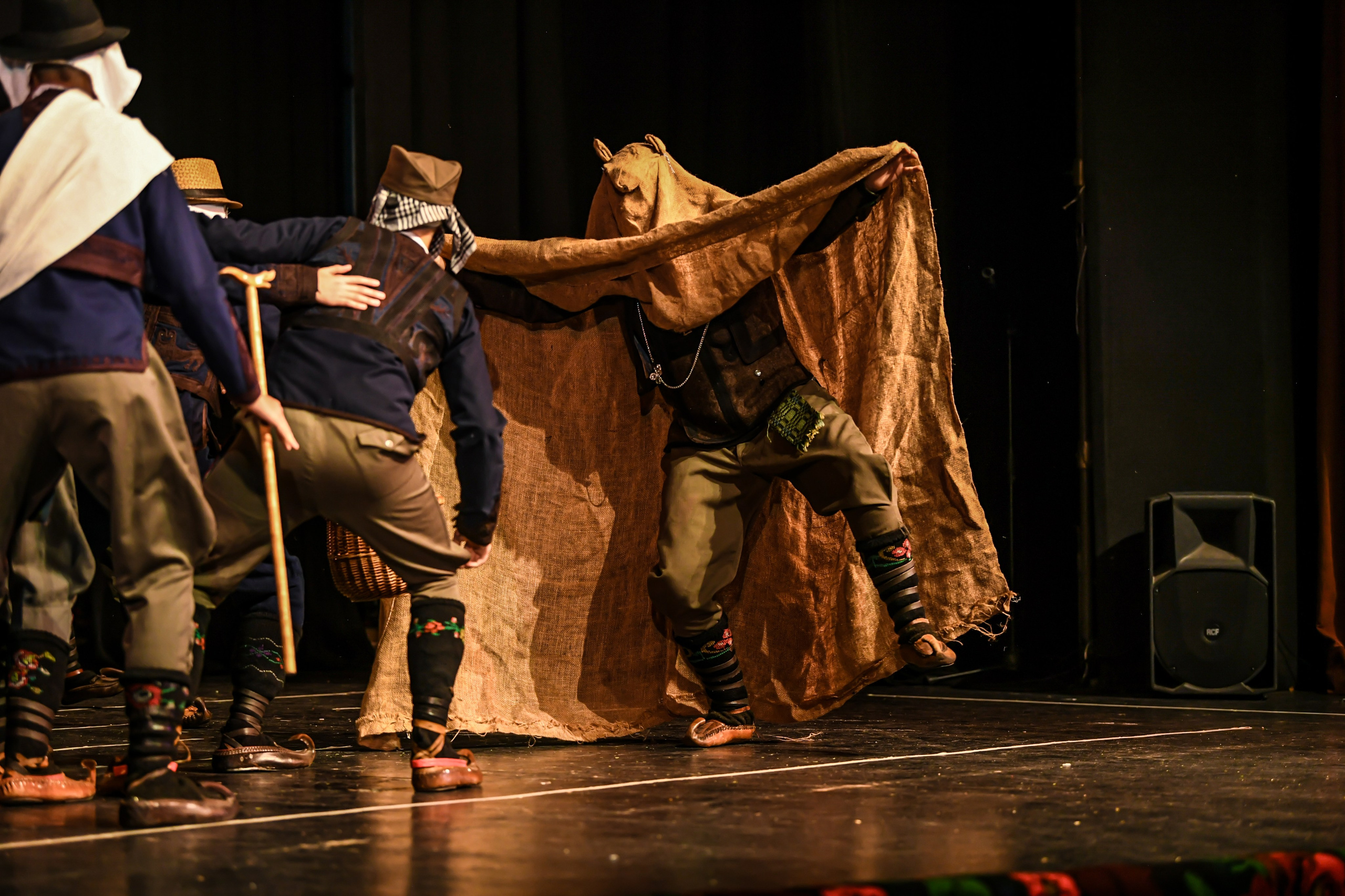 Godišnji koncert — KUD Ljubiša Urošević. Foto Simic Jagodina