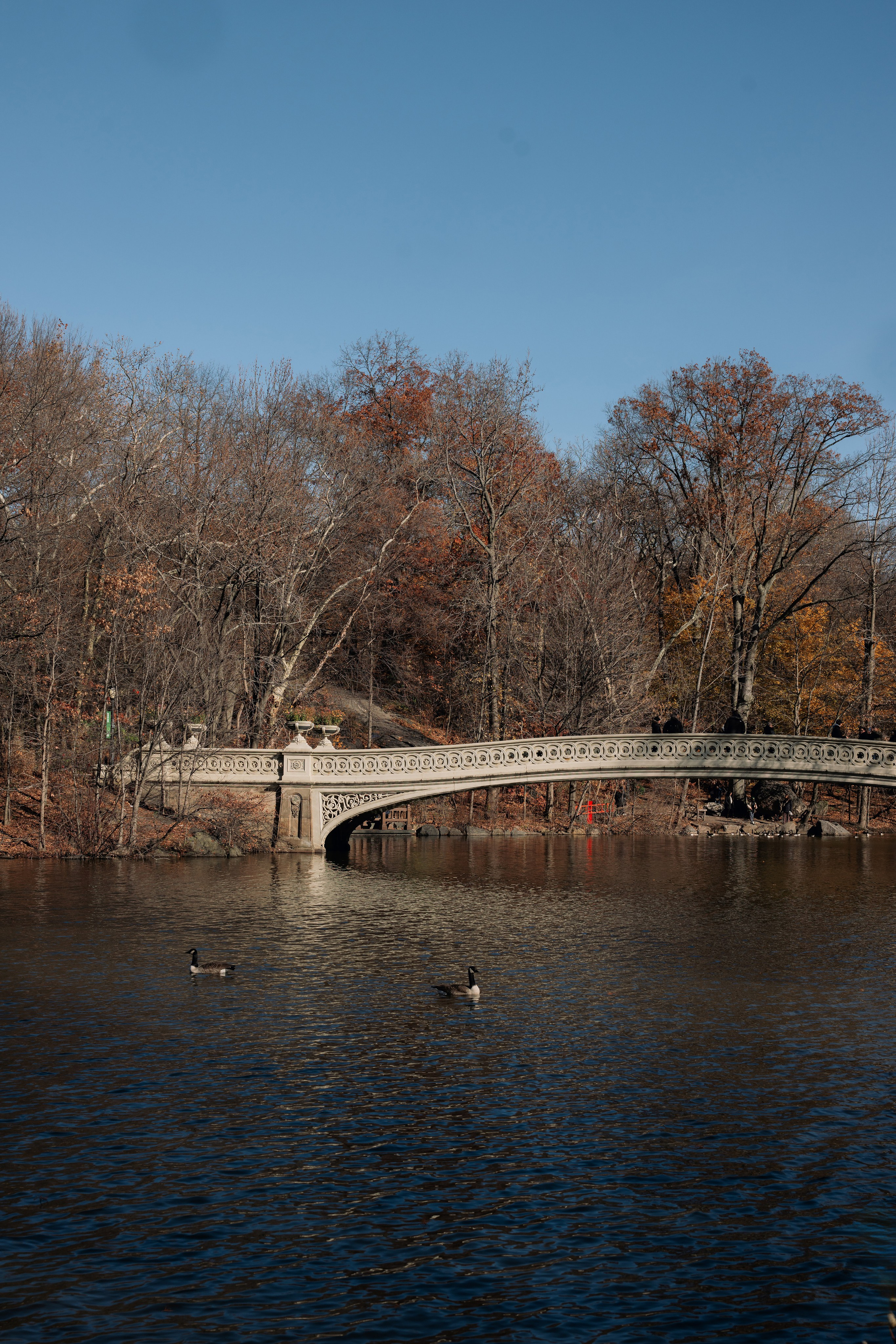 Marina and Mina | Central Park Engagement Session
