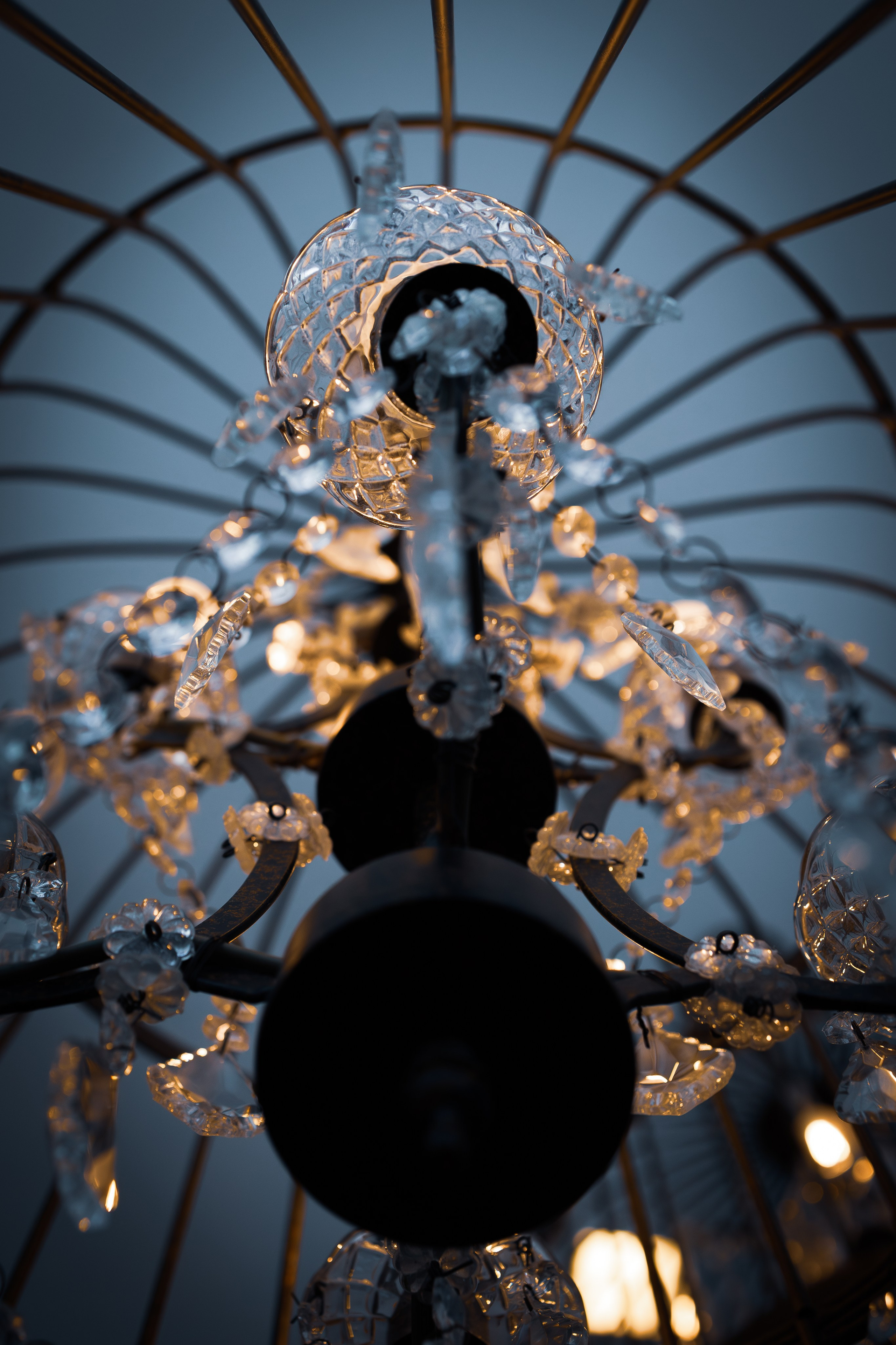 Paulo Marques Photography