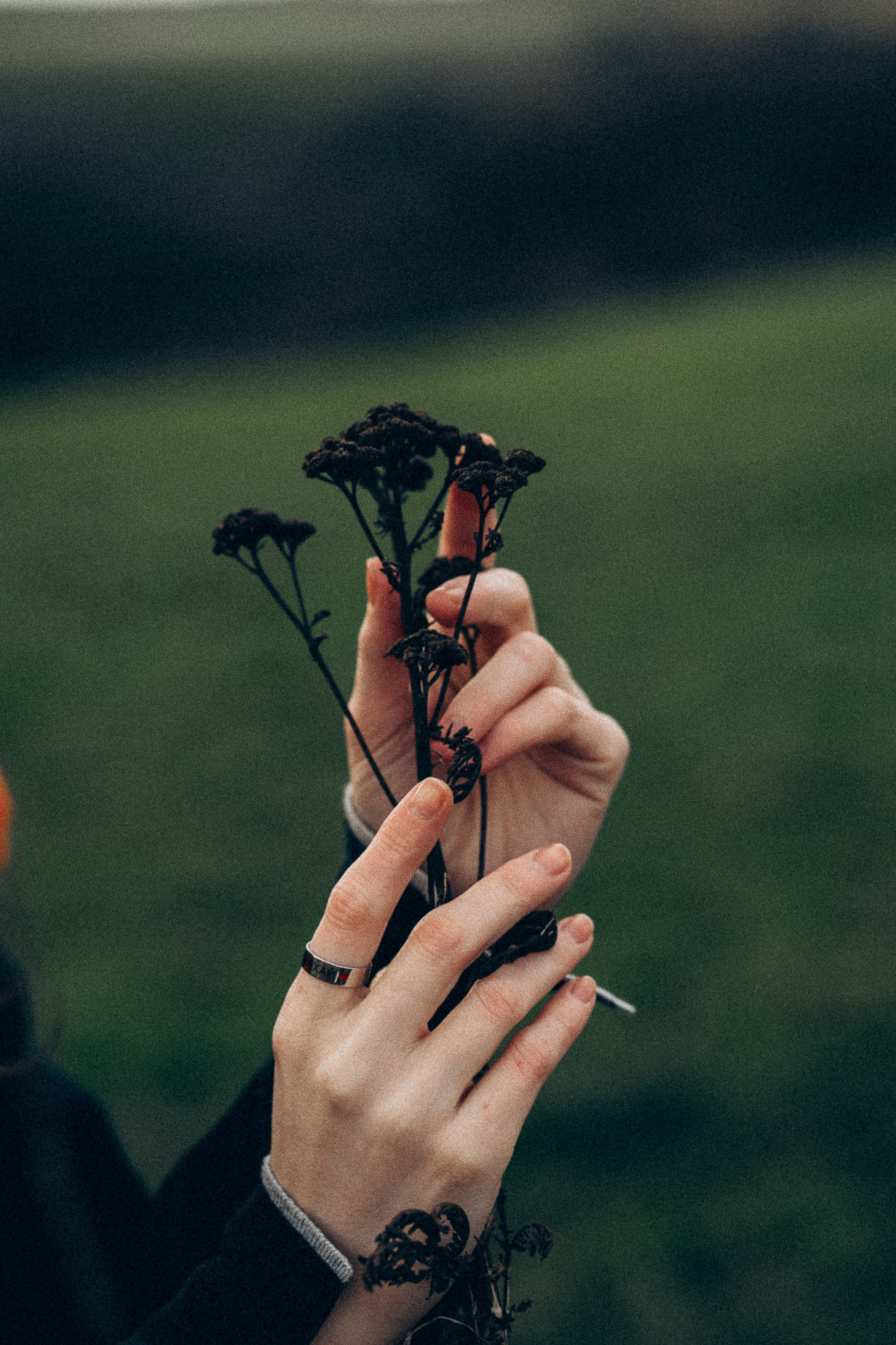 Windmills. Familien, Portrait und Konzeptualfotografie in Genf, Schweiz