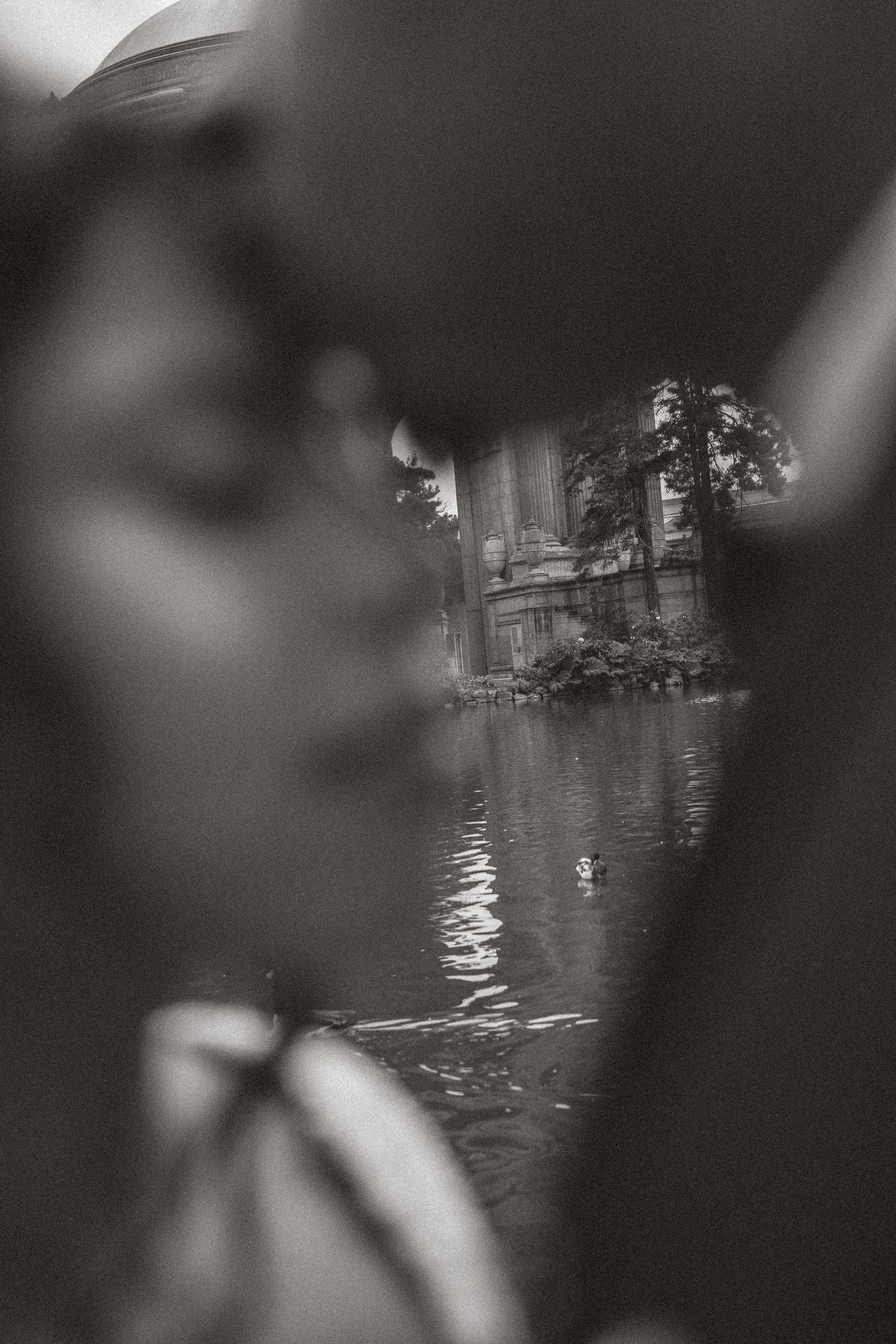 Elopement | Palace Of Fine Arts. Sacramento & Bay Area Candid Photographer | photography_of.nadia