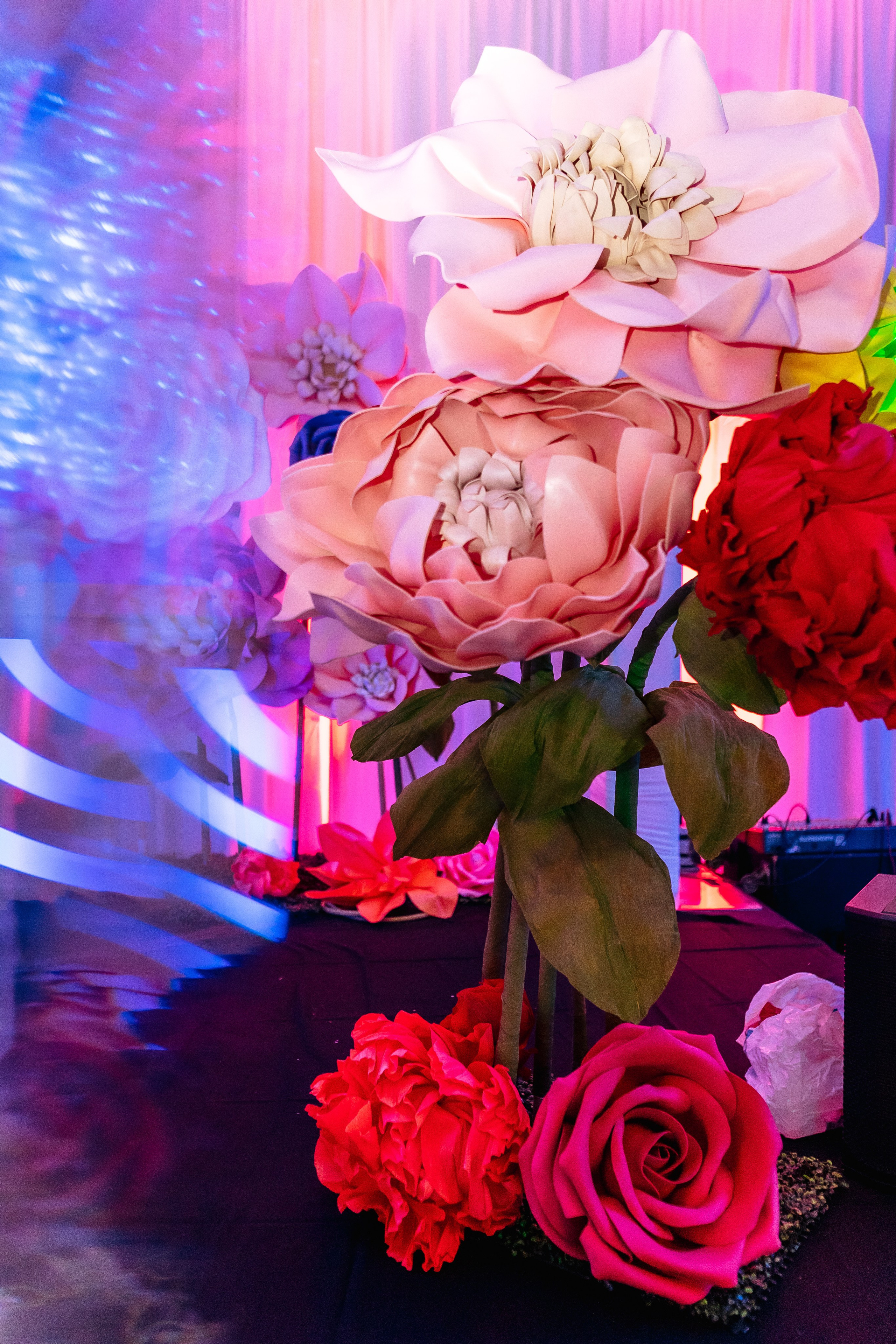 Event. Alya Leto Photographer