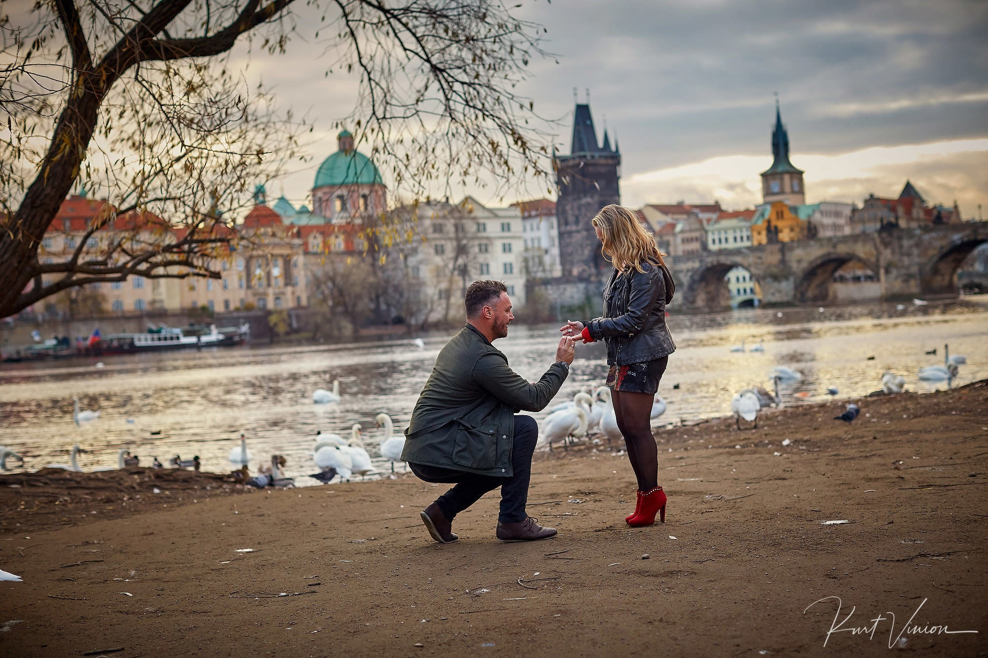 Man on knee placing ring on partner’s finger with swans near riverside in Prague.