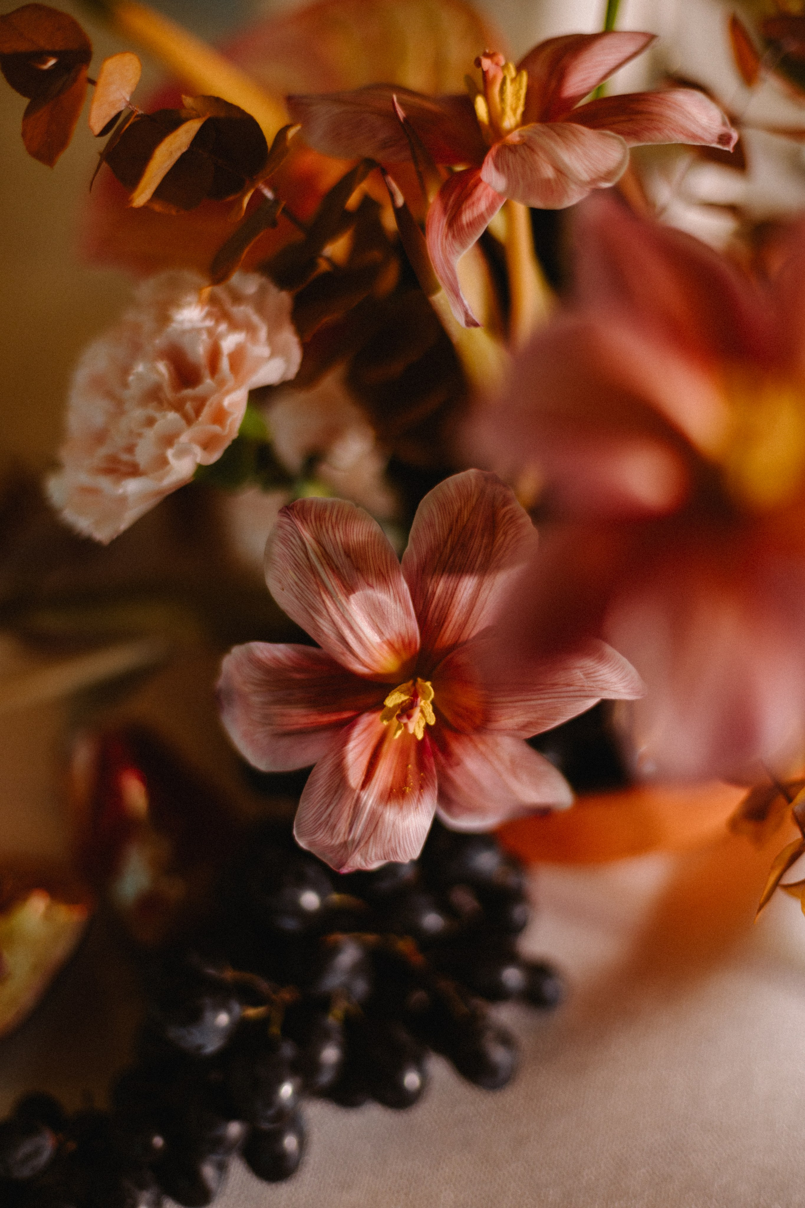 Alexandra & Koba. Photographer Anna Nazarenko