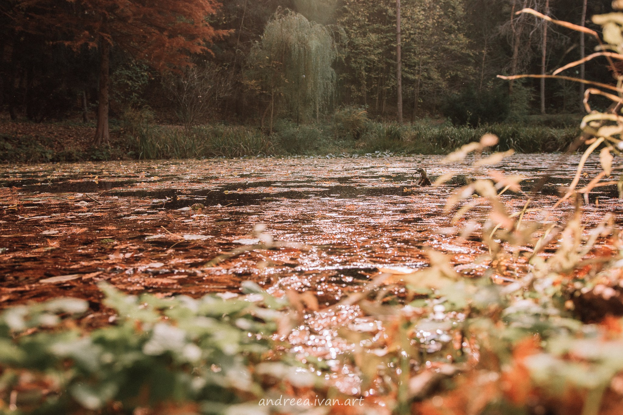 ~Peisaje~. Andreea Ivan art-Fotograf Constanta, Fotograf profesionist Constanta, Fotograf de nunta Constanta, botez, sedinte foto cu tematica, portret